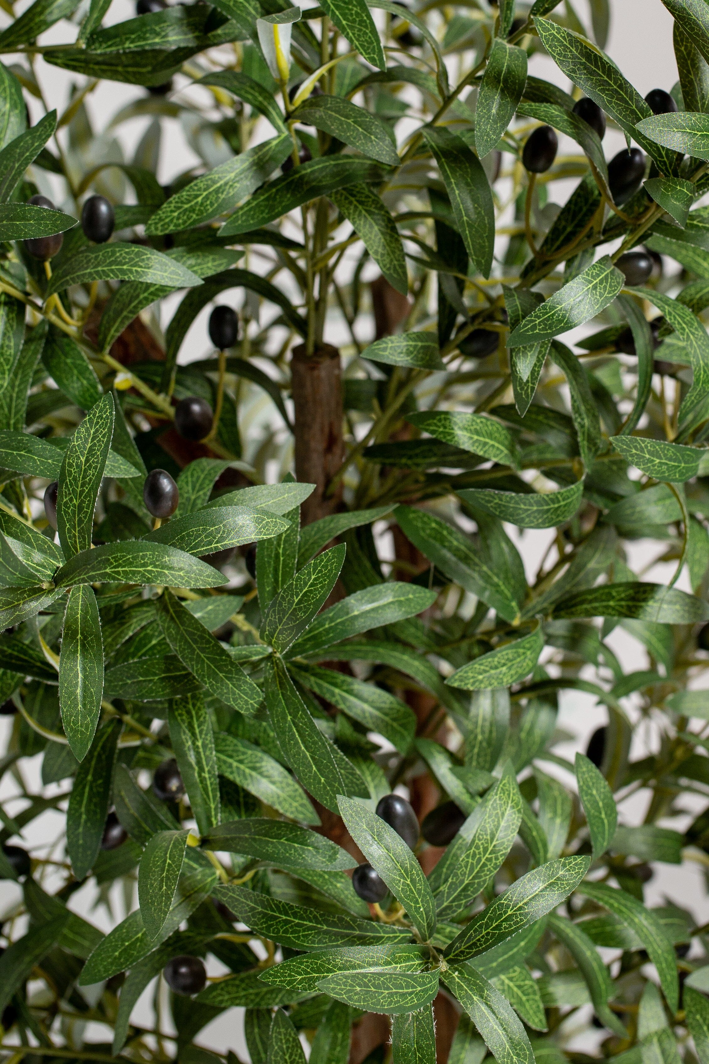 Oliveificial Tree (Pot not included) Homekode