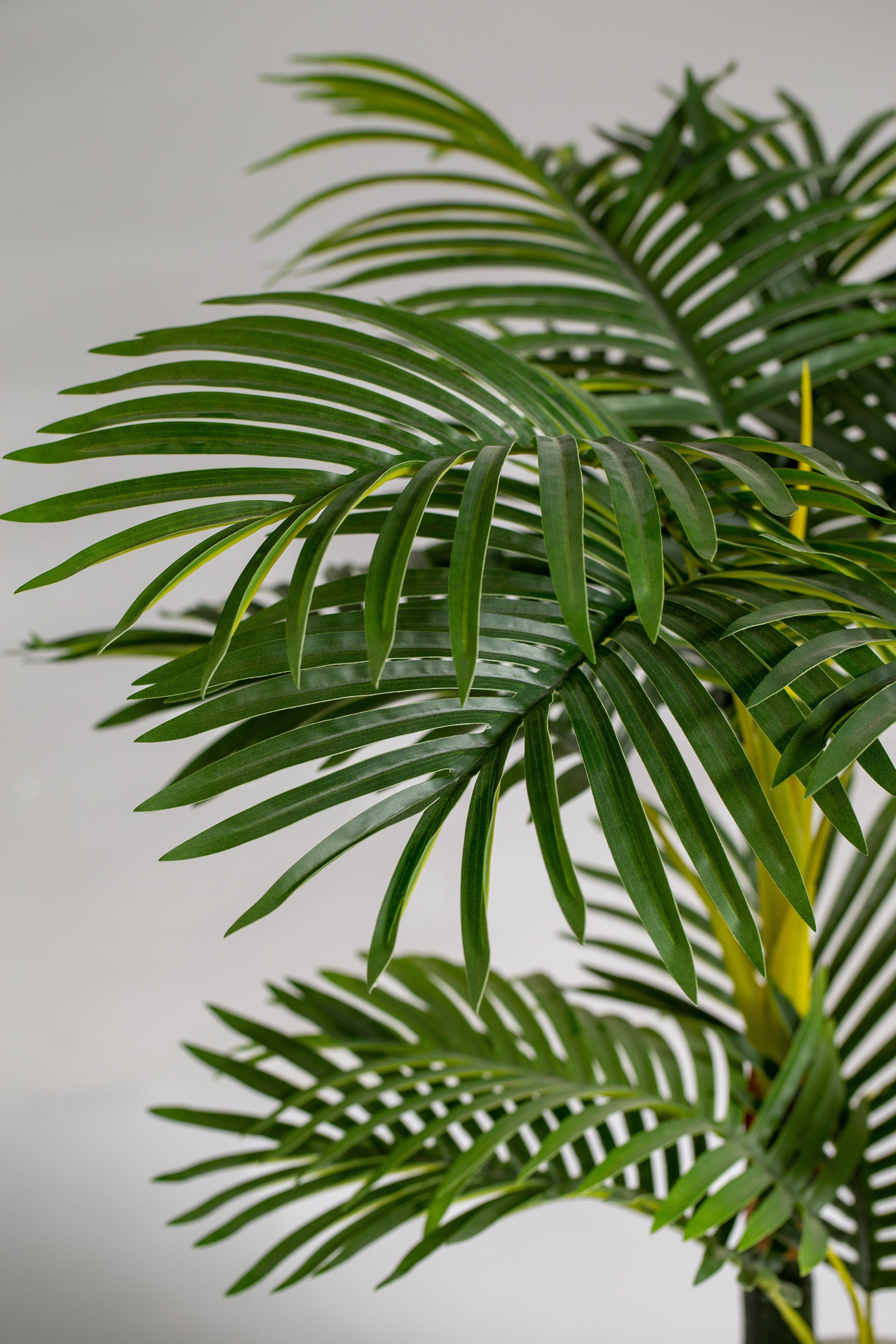 Arecaificial Plant (Pot not included) Homekode