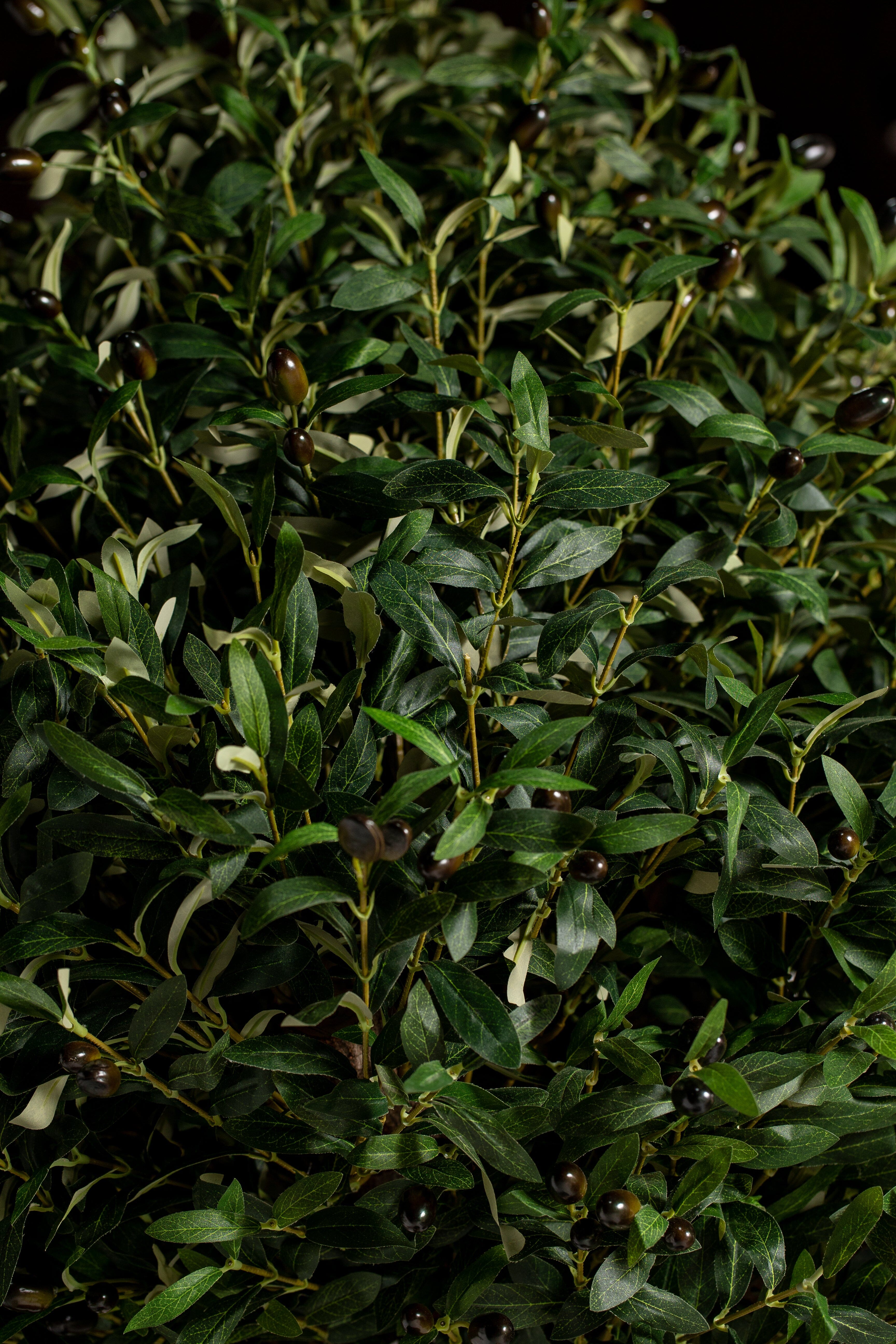 Boxwood Treeificial Plant (Pot not included) Homekode