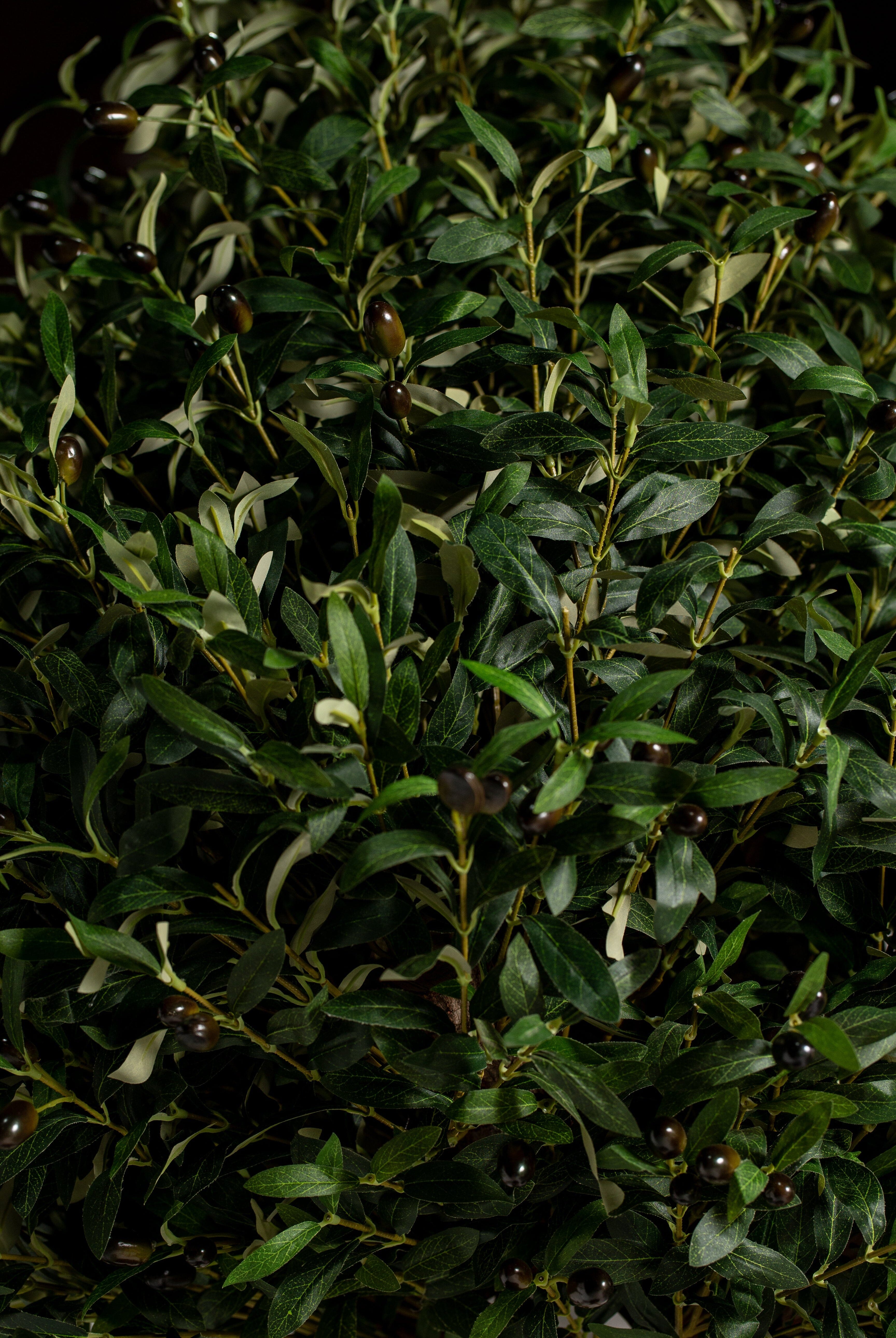 Boxwood Treeificial Plant (Pot not included) Homekode