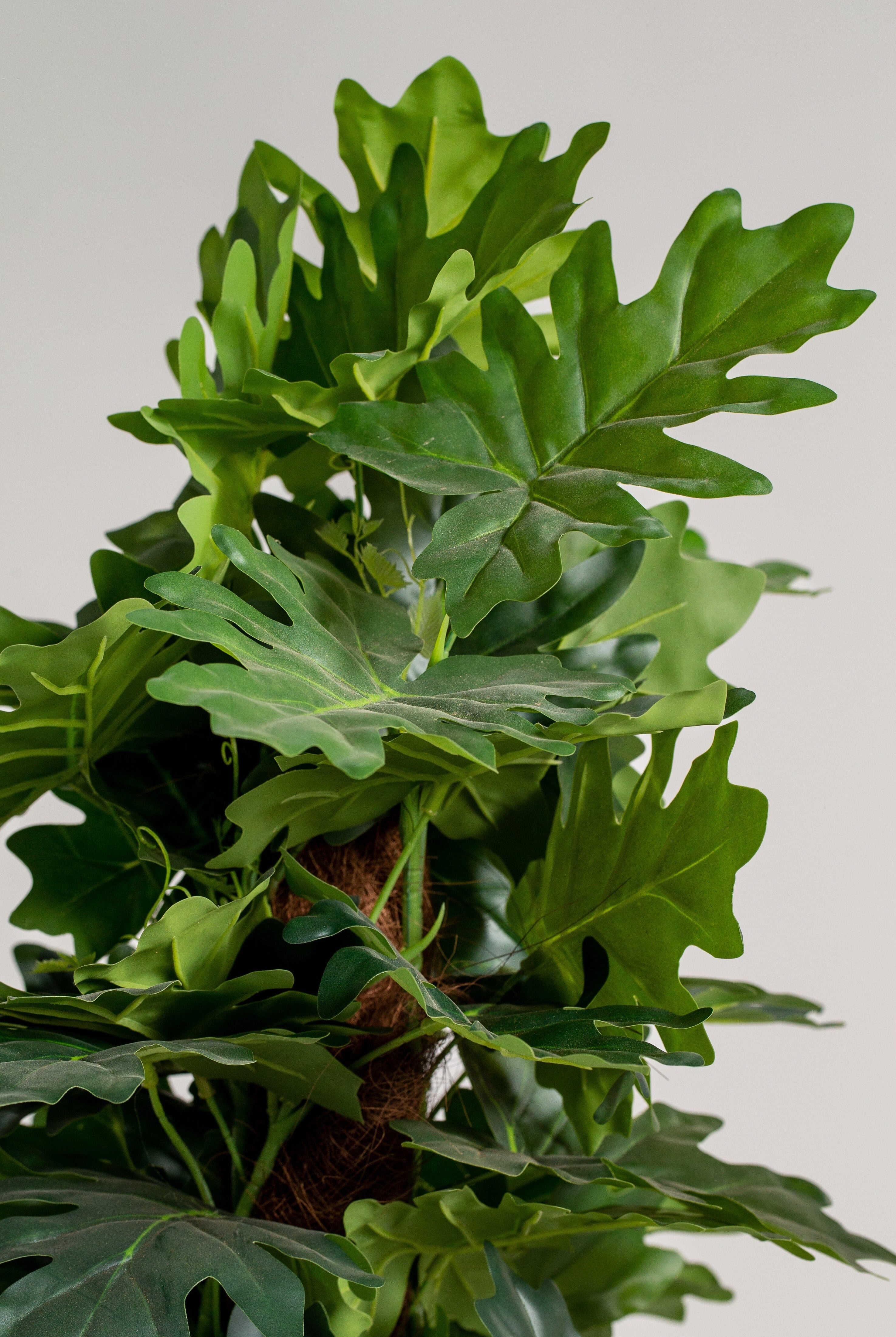 Ficus Lyrataificial Plant (Pot not included) Homekode