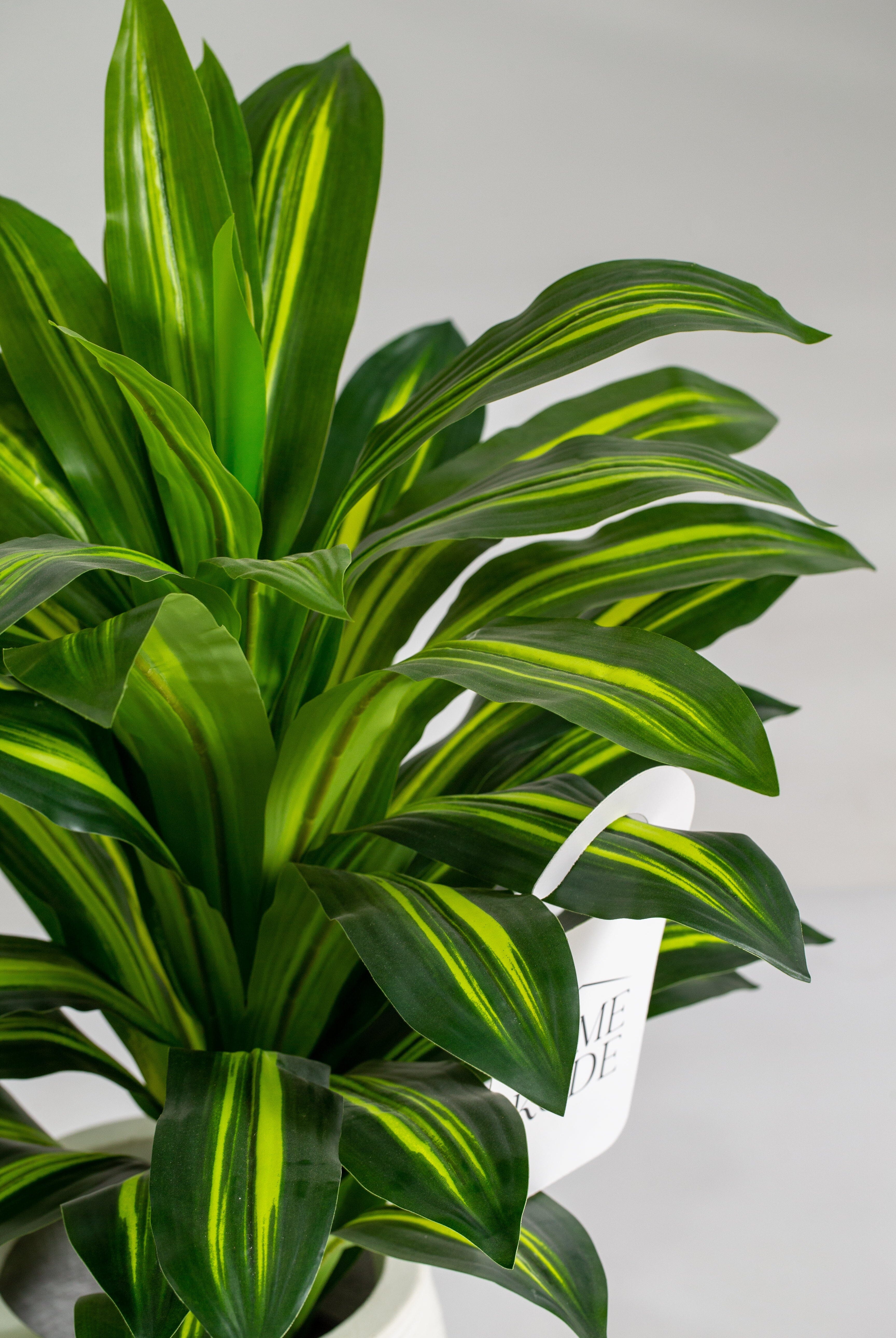 Dracaena Fragranceificial Plant (Pot not included) Homekode