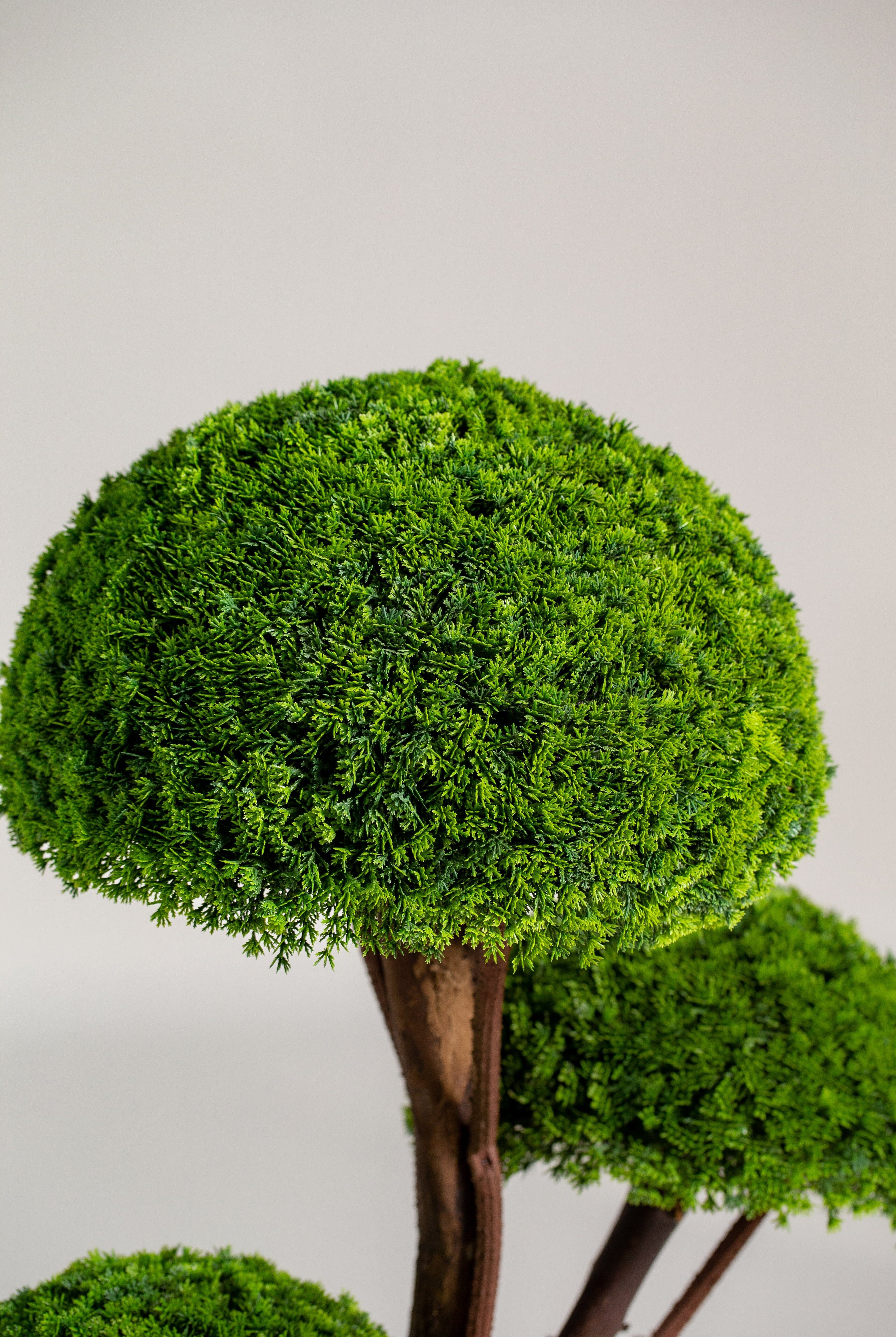 Halfball Treeificial Plant (Pot not included) Homekode