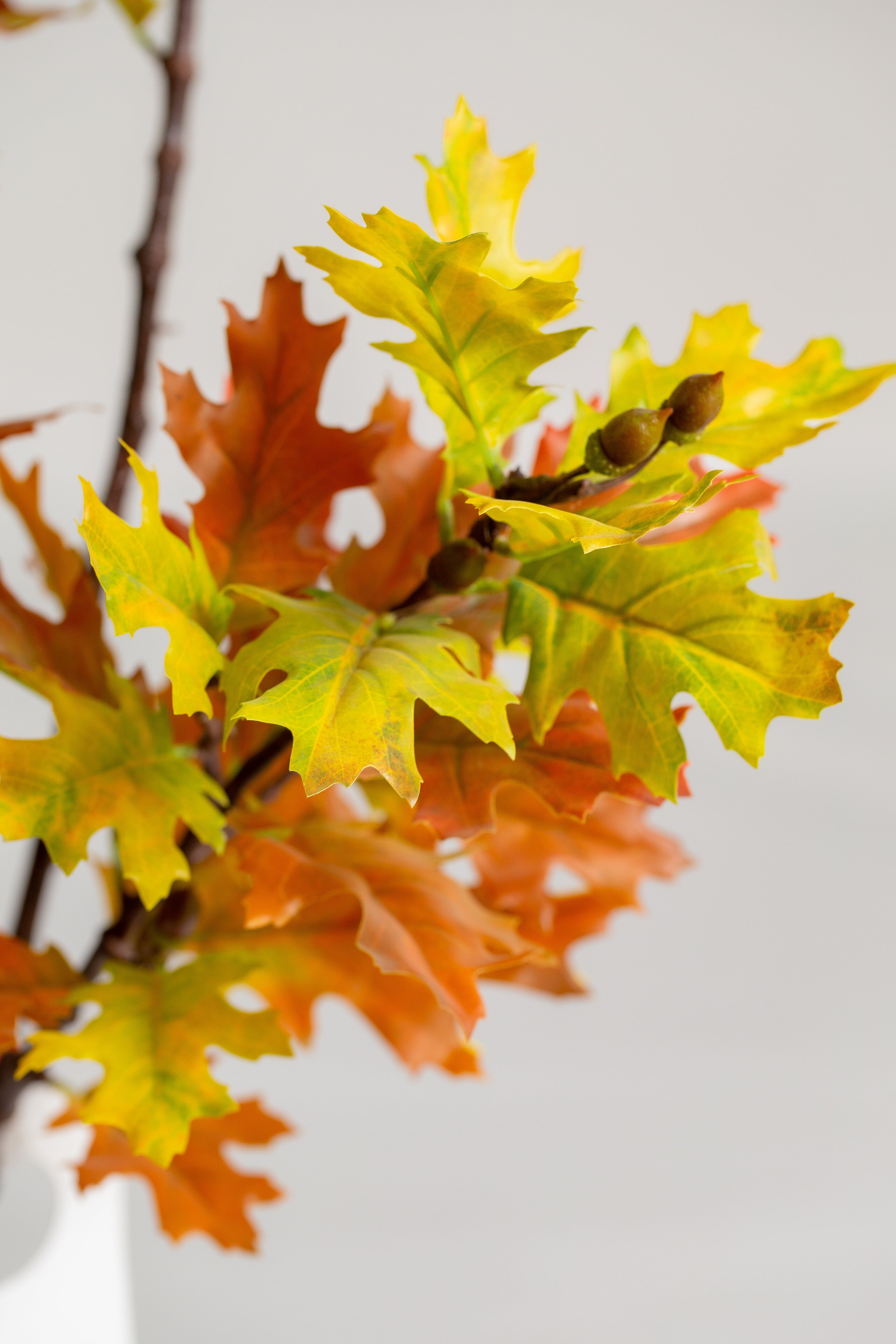 Mapleificial Tree (Pot not included) Homekode