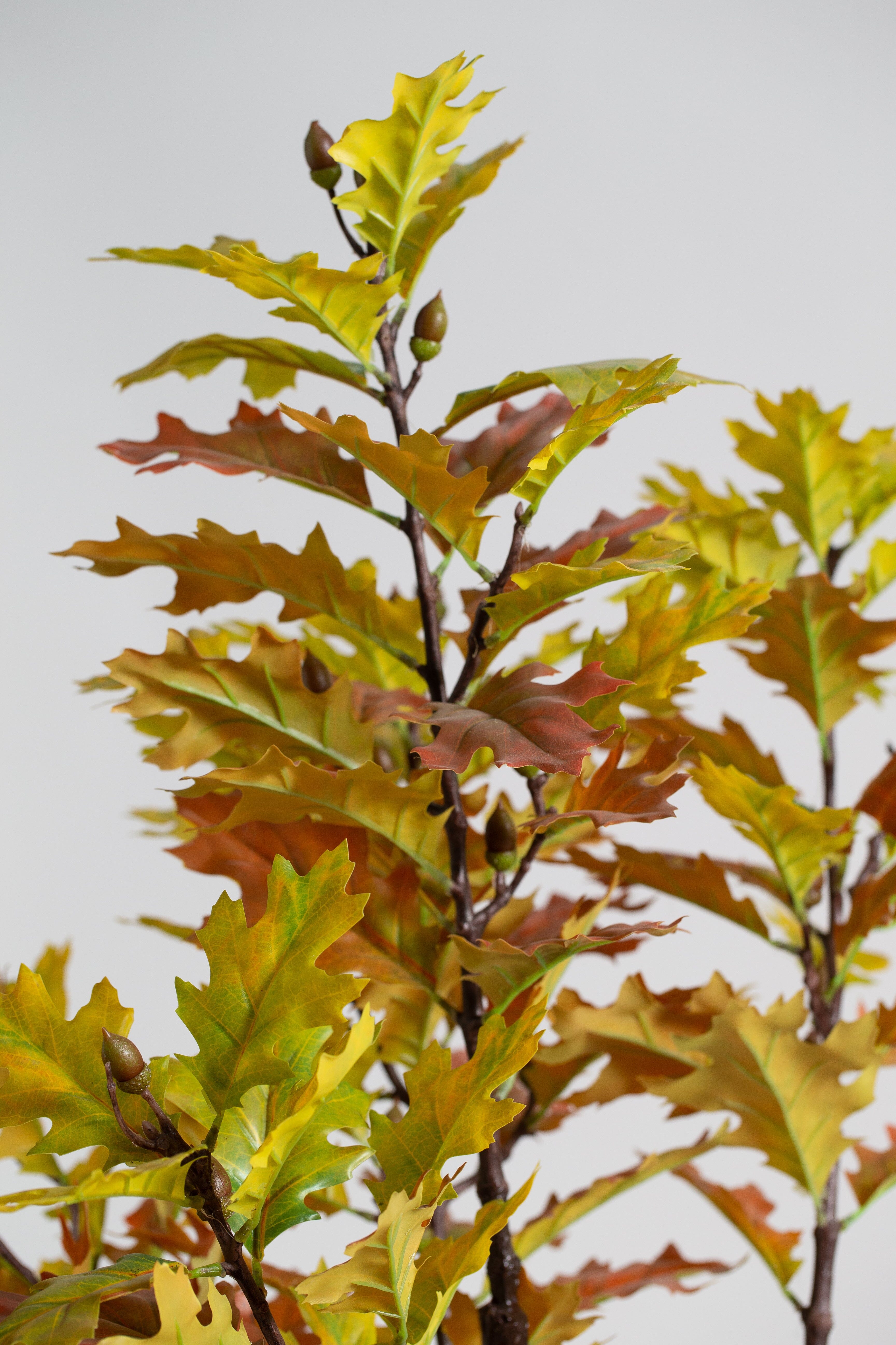 Mapleificial Tree (Pot not included) Homekode