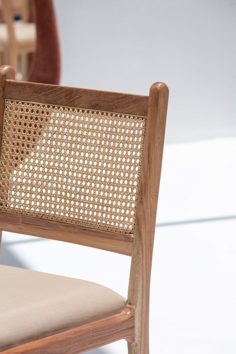 Demetria Rattan Dining Chair Chairs