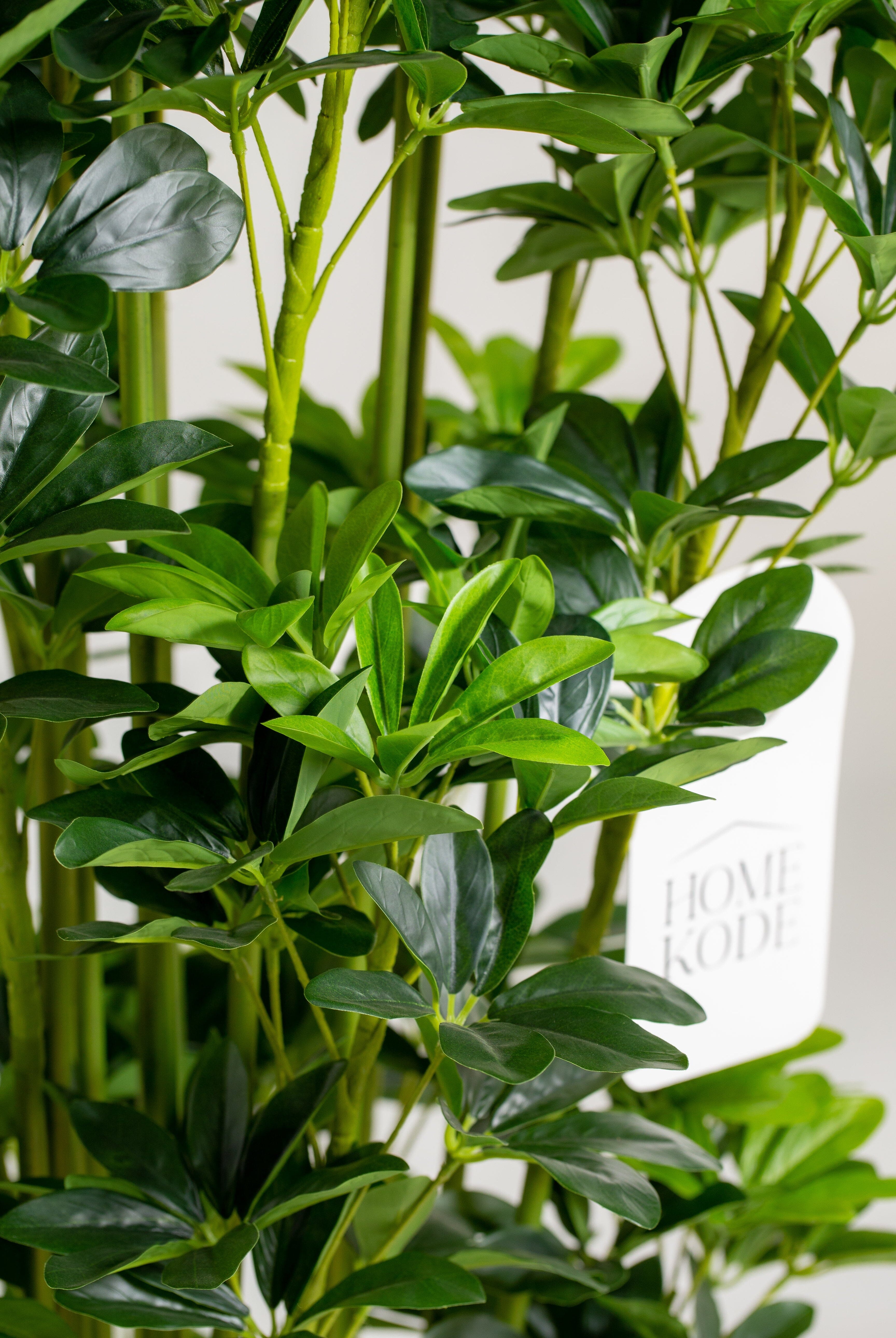 Schefflera Arboricolaificial Plant (Pot not included) Homekode