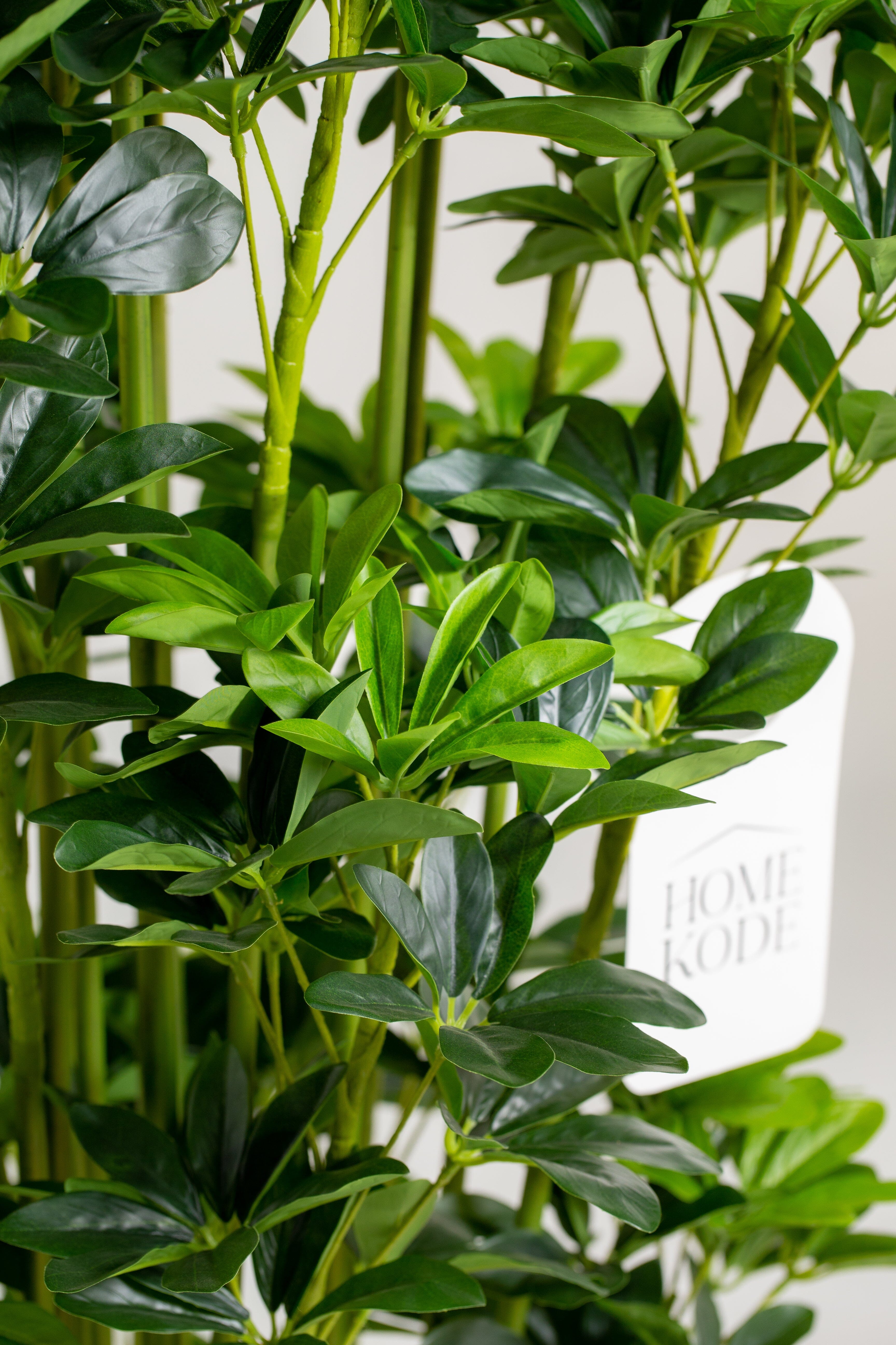 Schefflera Arboricolaificial Plant (Pot not included) Homekode