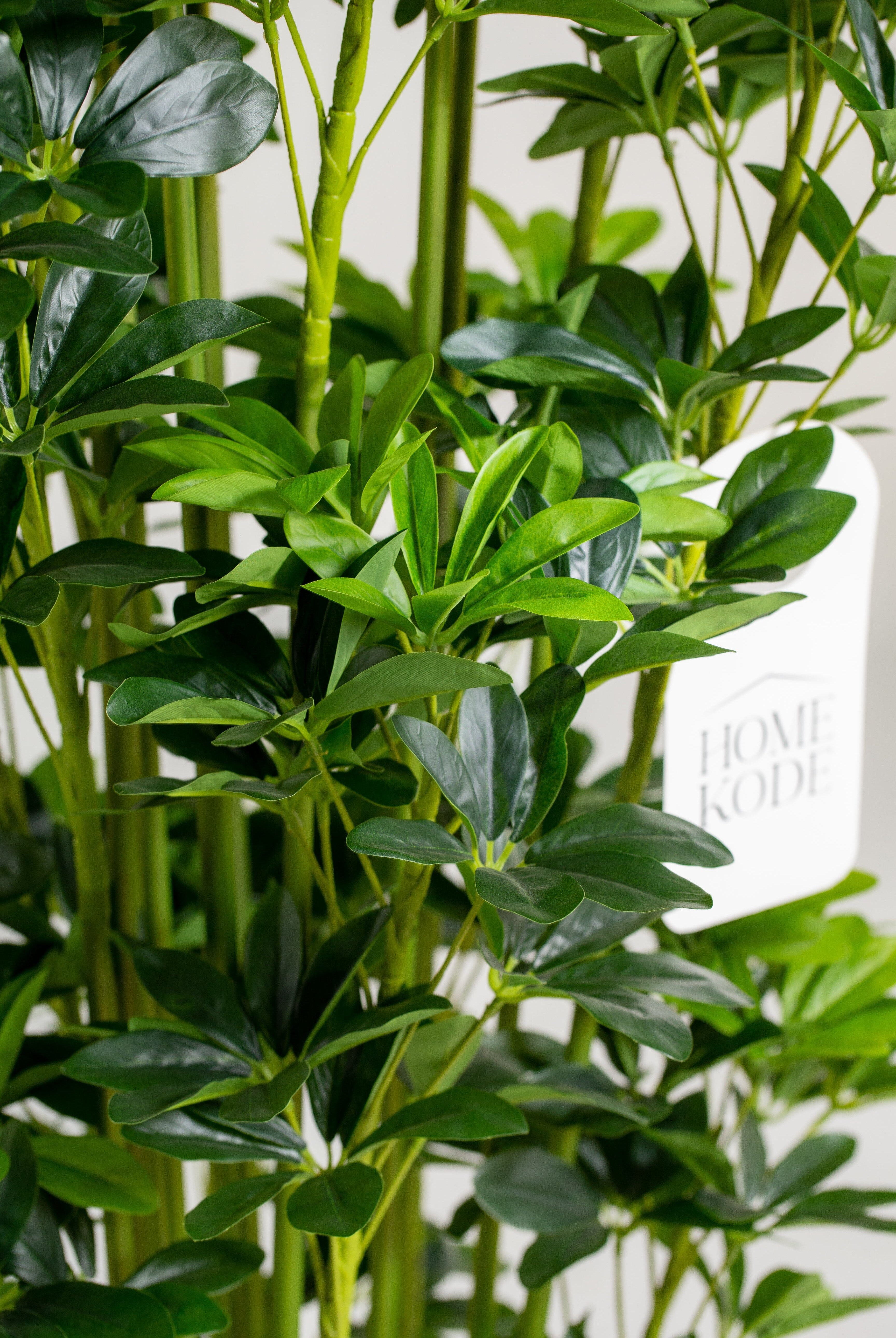 Schefflera Arboricolaificial Plant (Pot not included) Homekode