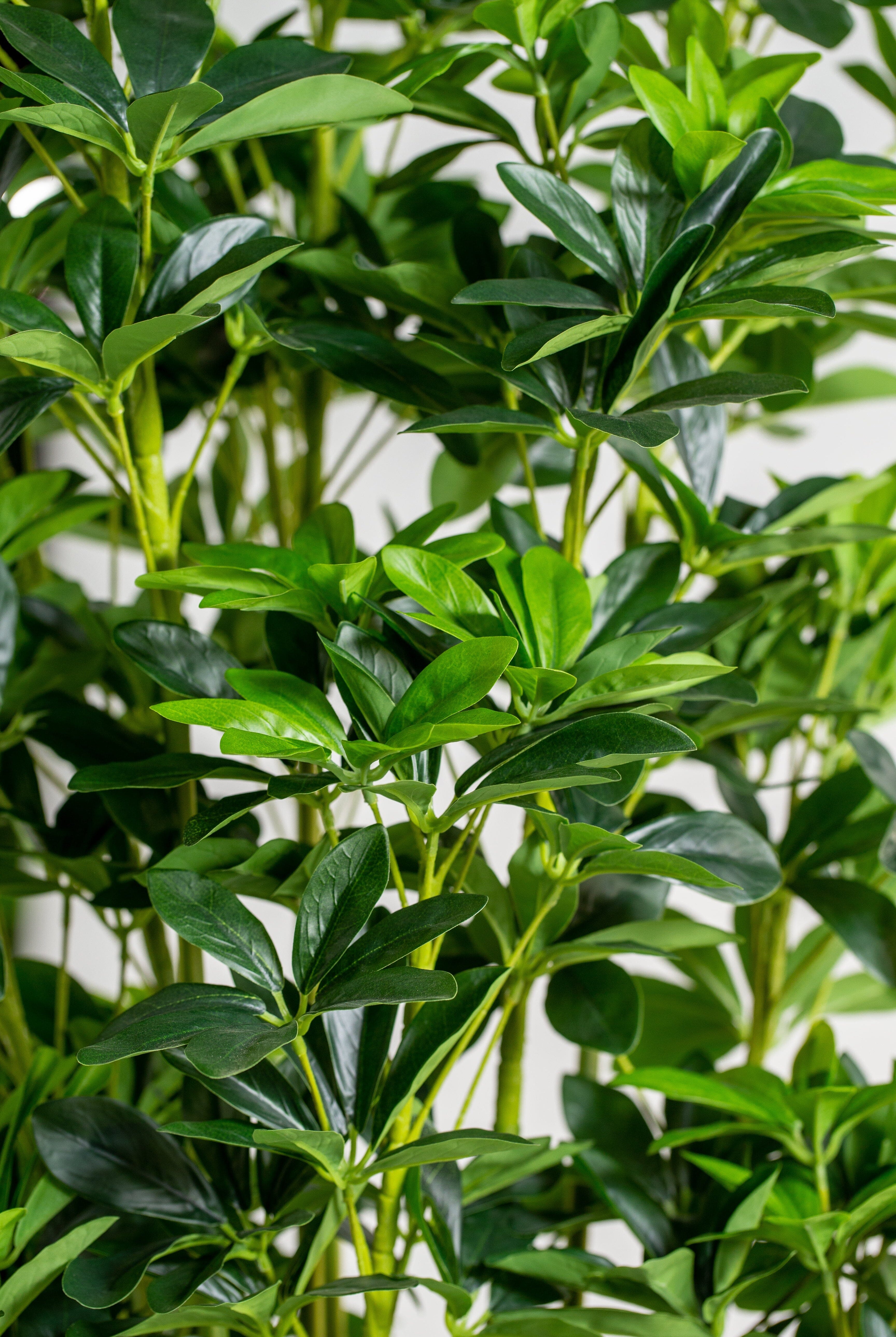 Schefflera Arboricolaificial Plant (Pot not included) Homekode