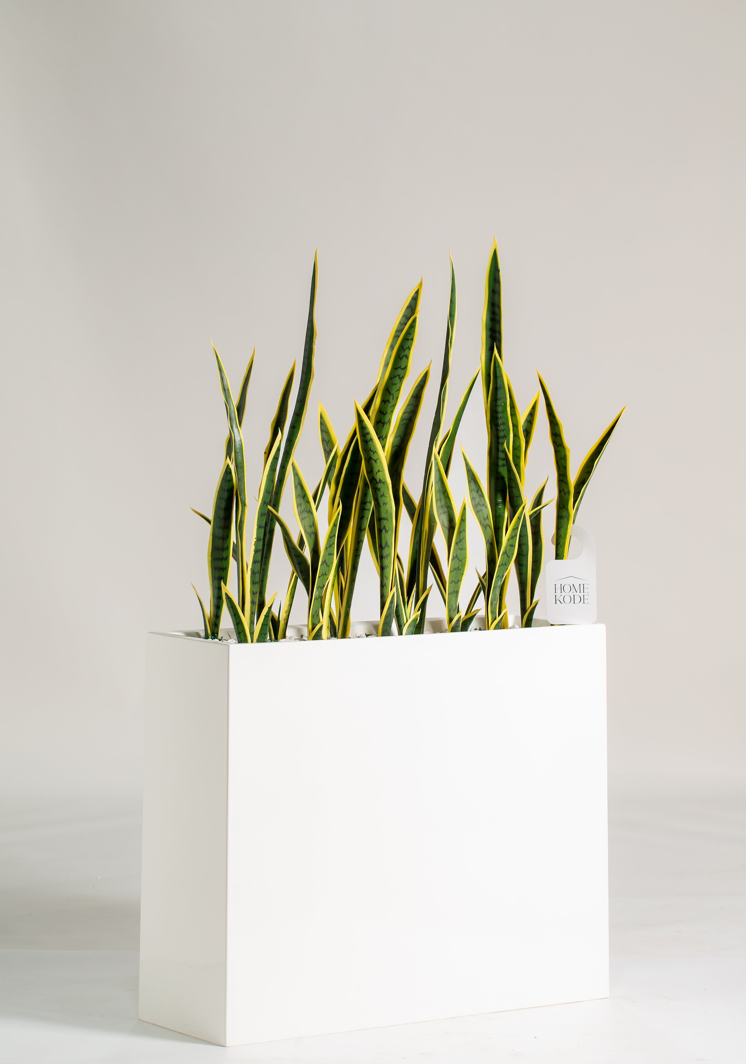 Dracaena Trifasciataificial Plant (Pot not included) Homekode