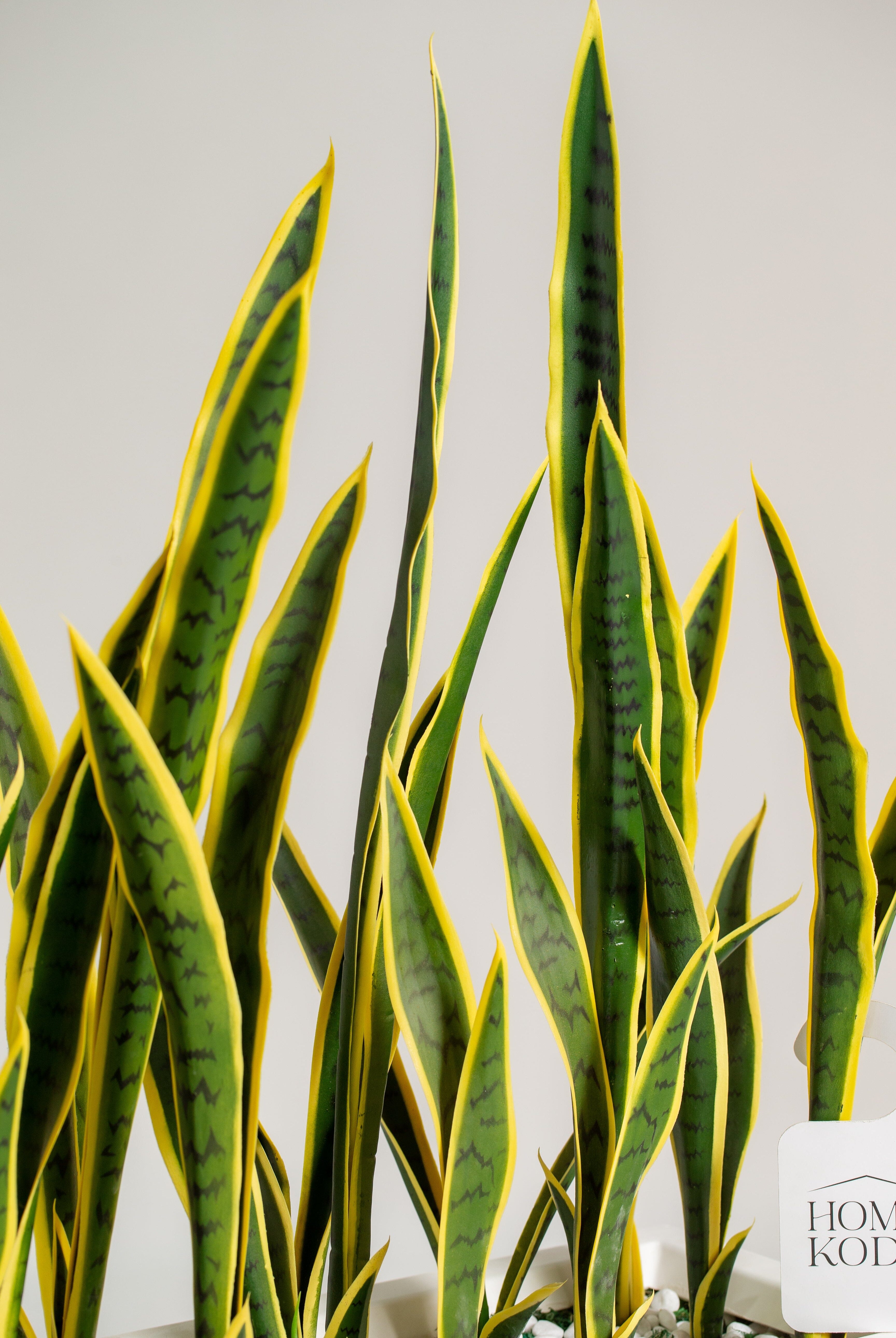 Dracaena Trifasciataificial Plant (Pot not included) Homekode