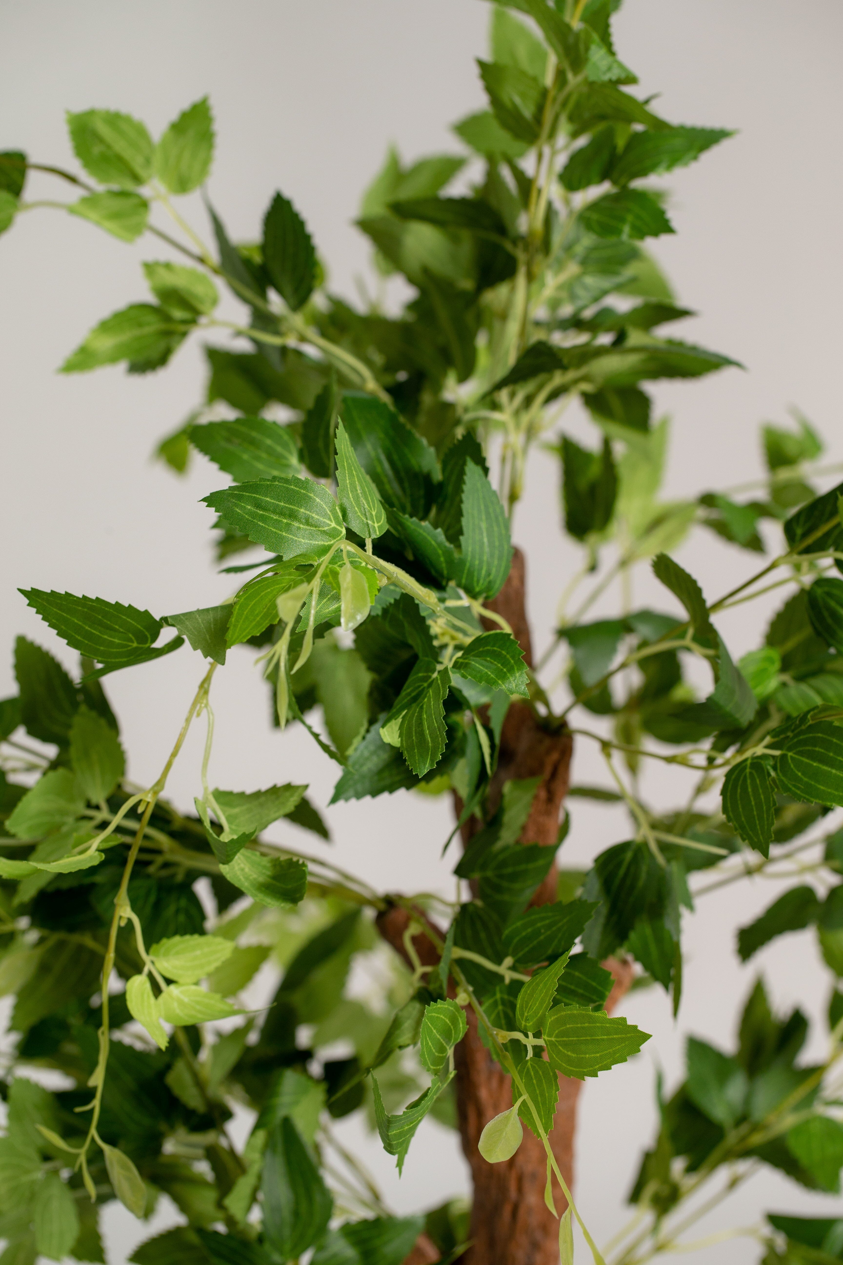 Celtis Australisificial Plant (Pot not included) Homekode