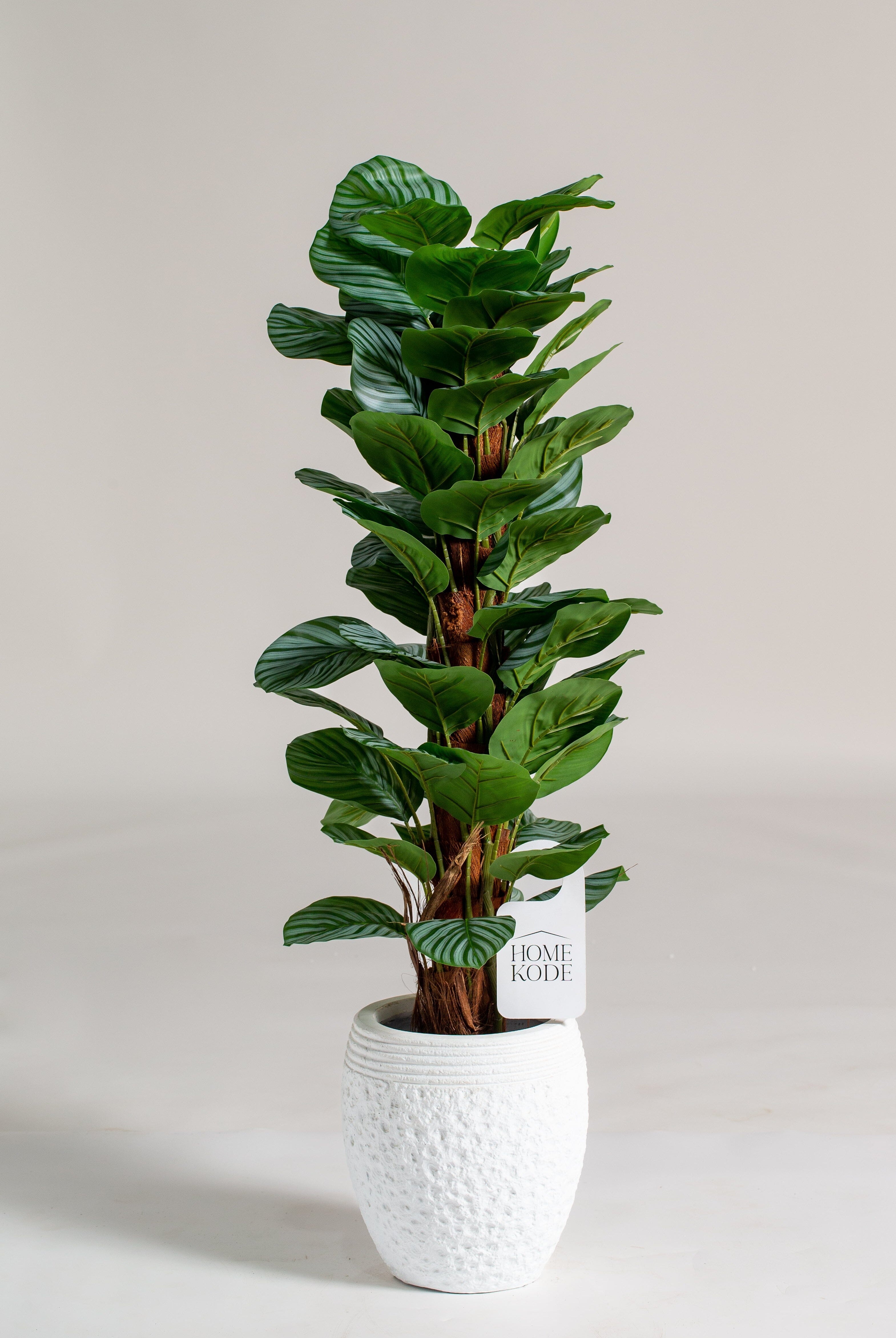 Fiddle-leaf figificial Plant (Pot not included) Homekode