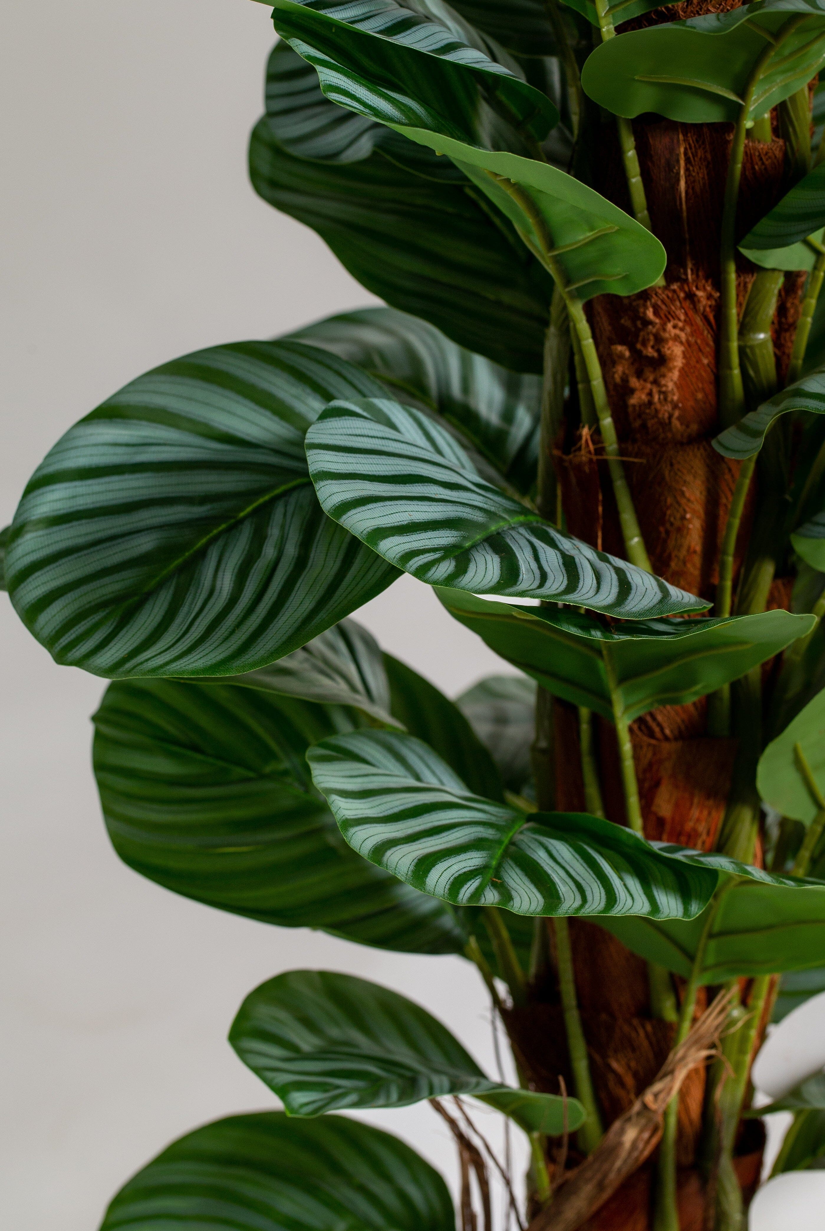 Fiddle-leaf figificial Plant (Pot not included) Homekode