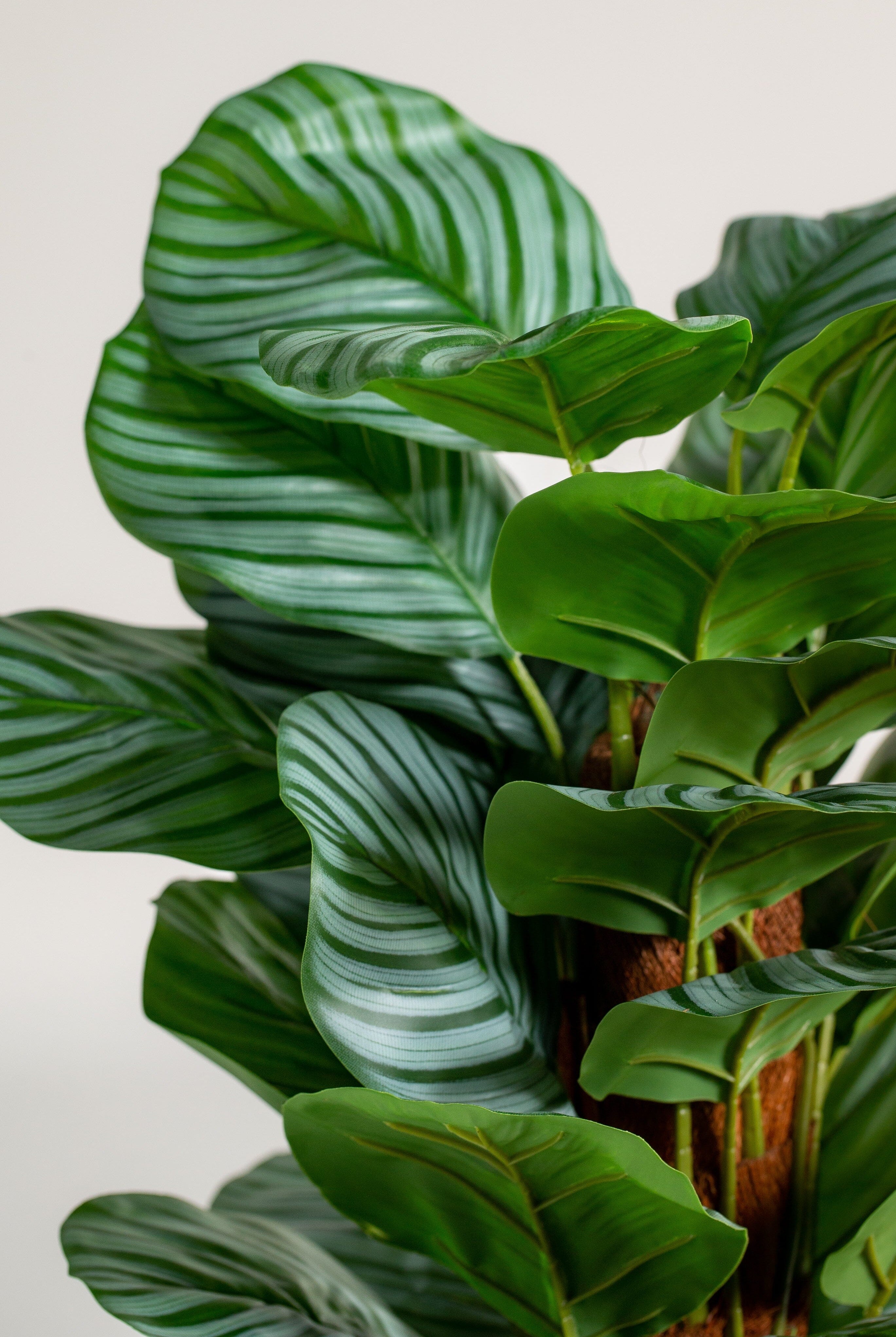 Fiddle-leaf figificial Plant (Pot not included) Homekode