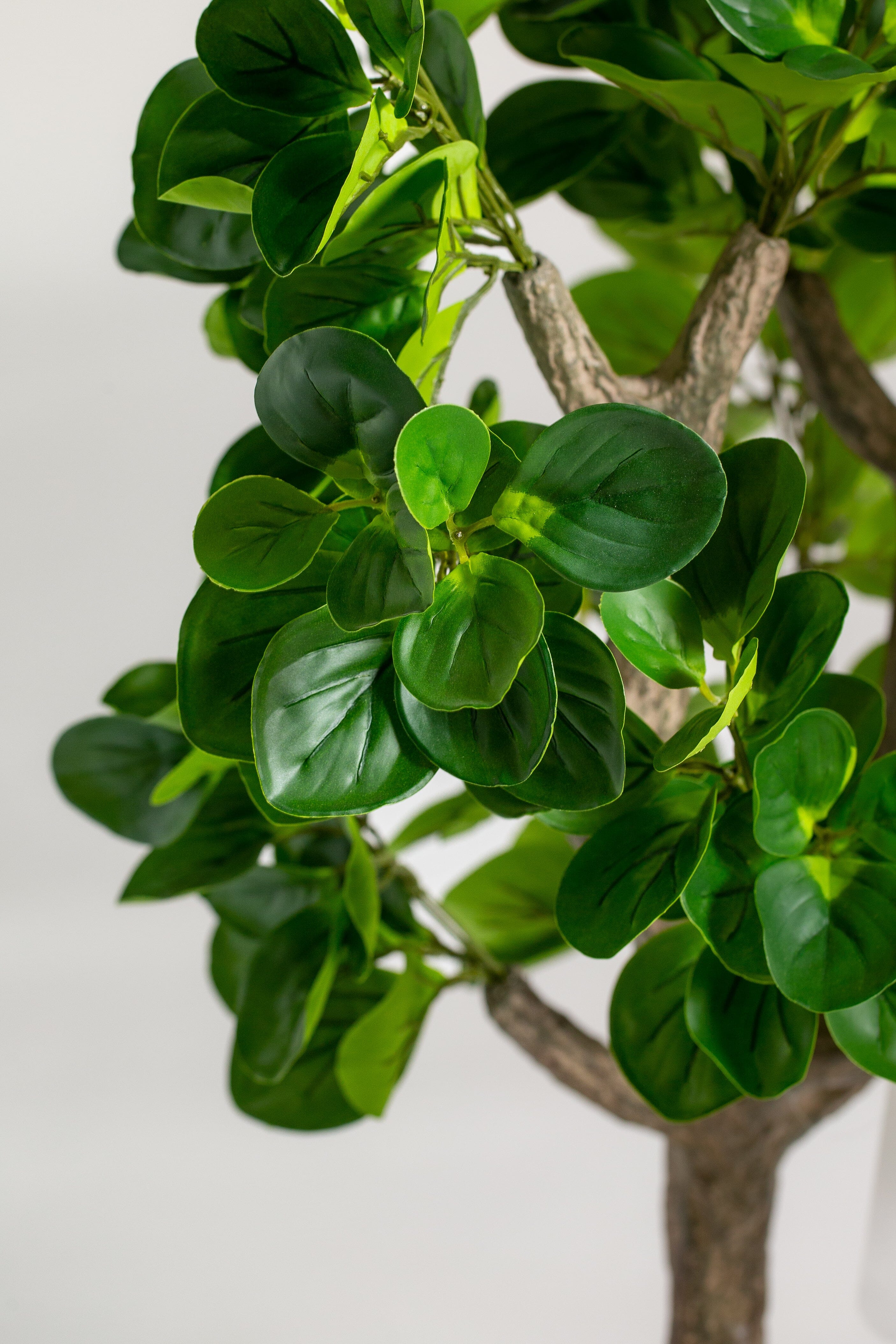 Baby Rubberificial Plant (Pot not included) Homekode