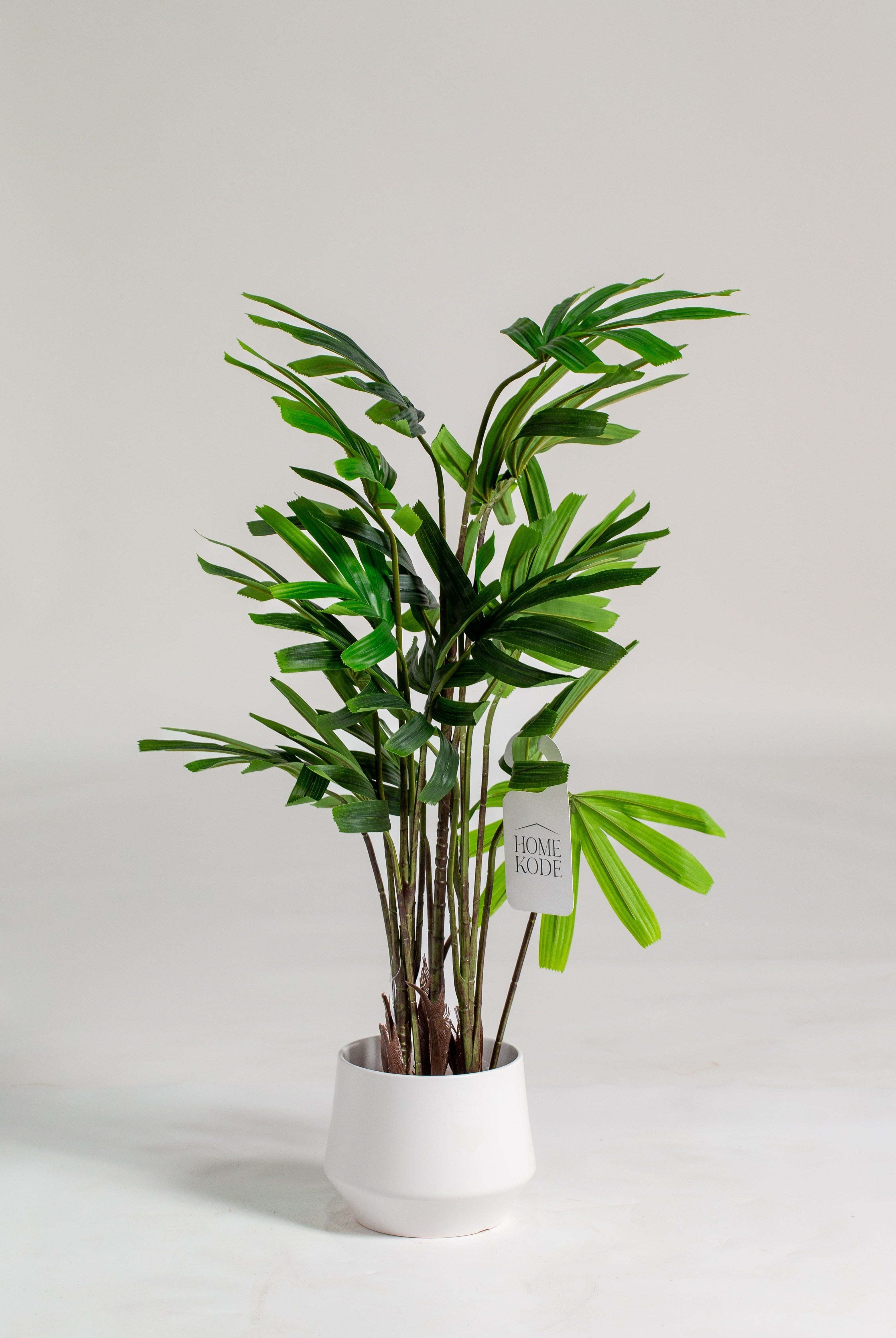 Chamaedorea Elegansificial Plant (Pot not included) Homekode
