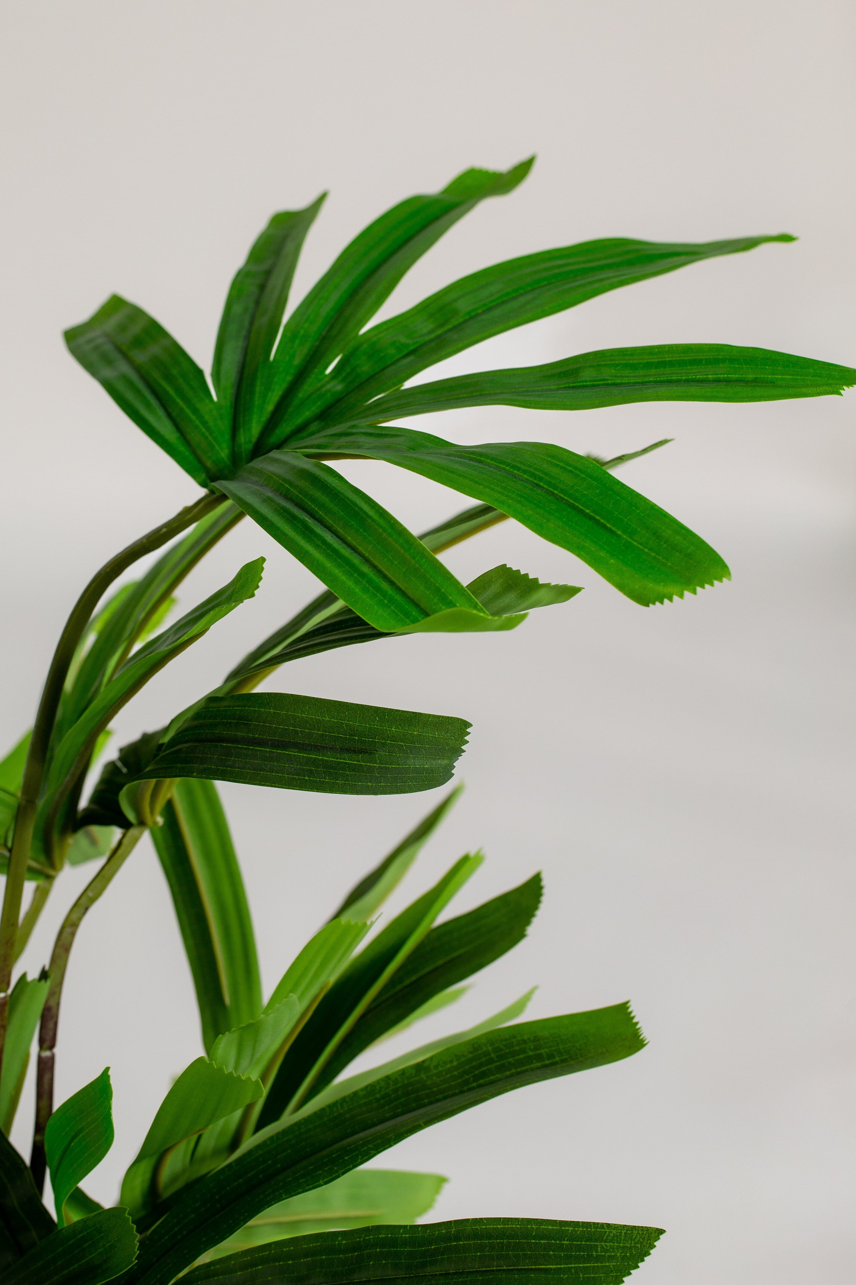 Chamaedorea Elegansificial Plant (Pot not included) Homekode