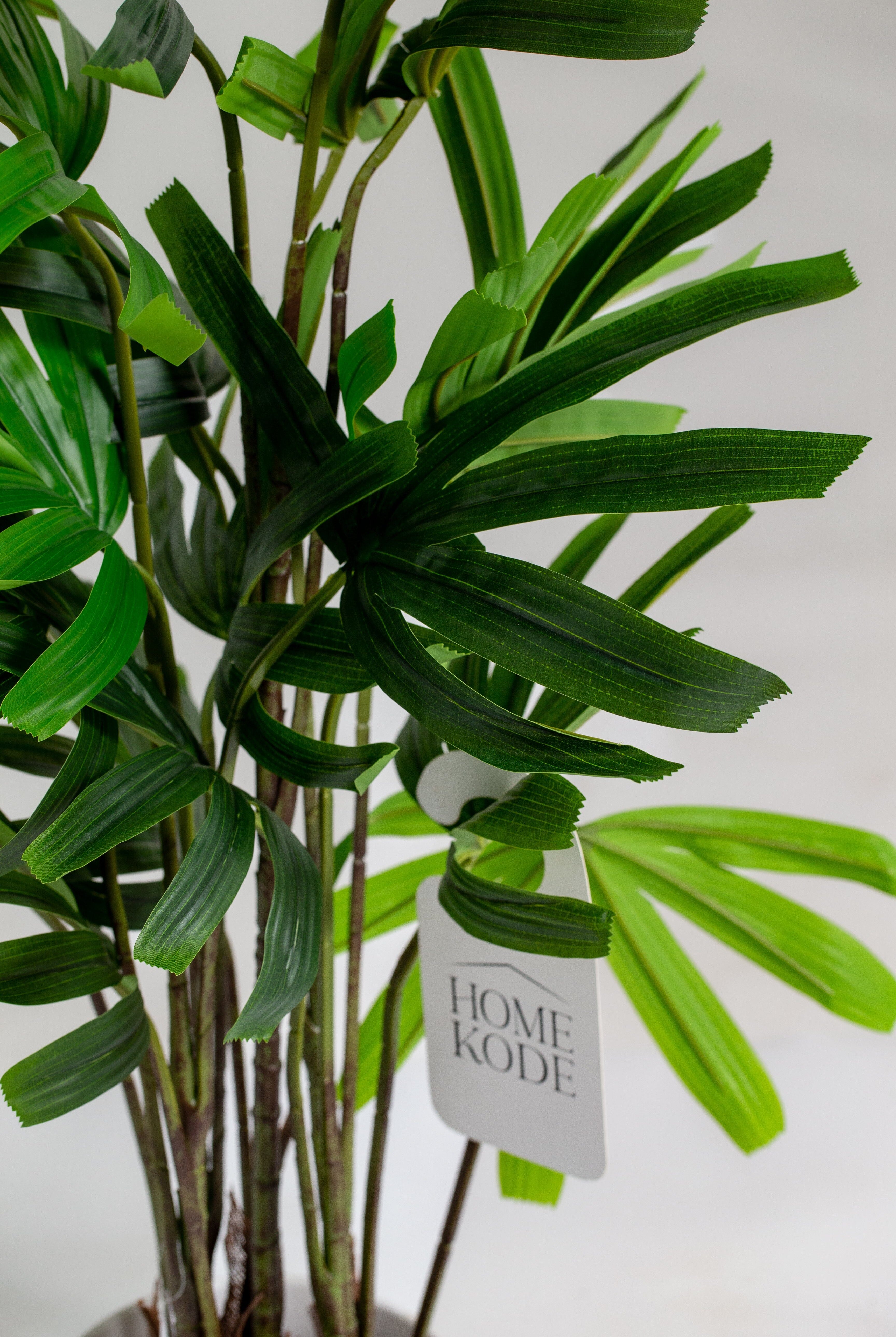 Chamaedorea Elegansificial Plant (Pot not included) Homekode