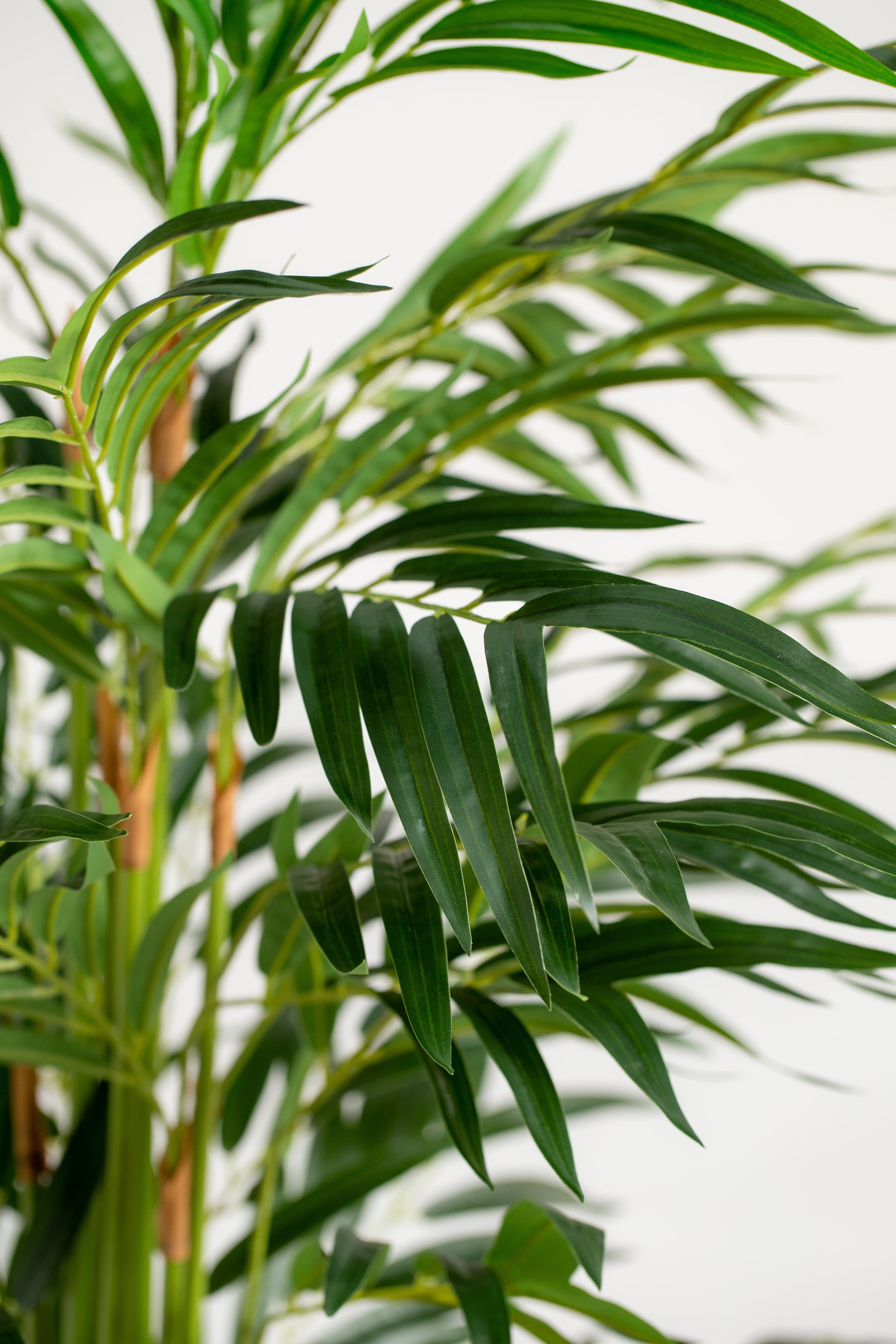 Green Bambooificial Plant (Pot not included) Homekode