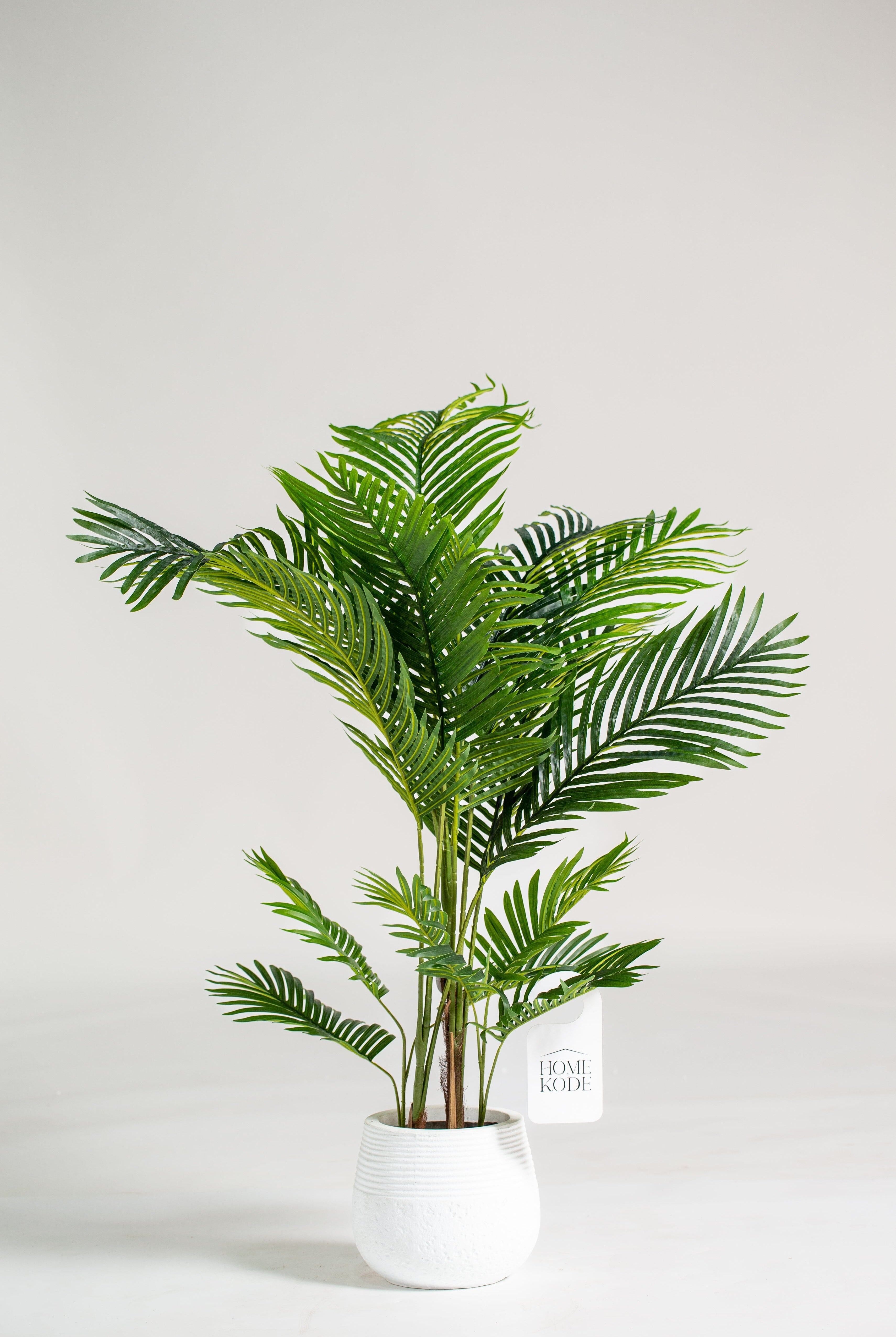 Areca Palmificial Plant (Pot not included) Homekode