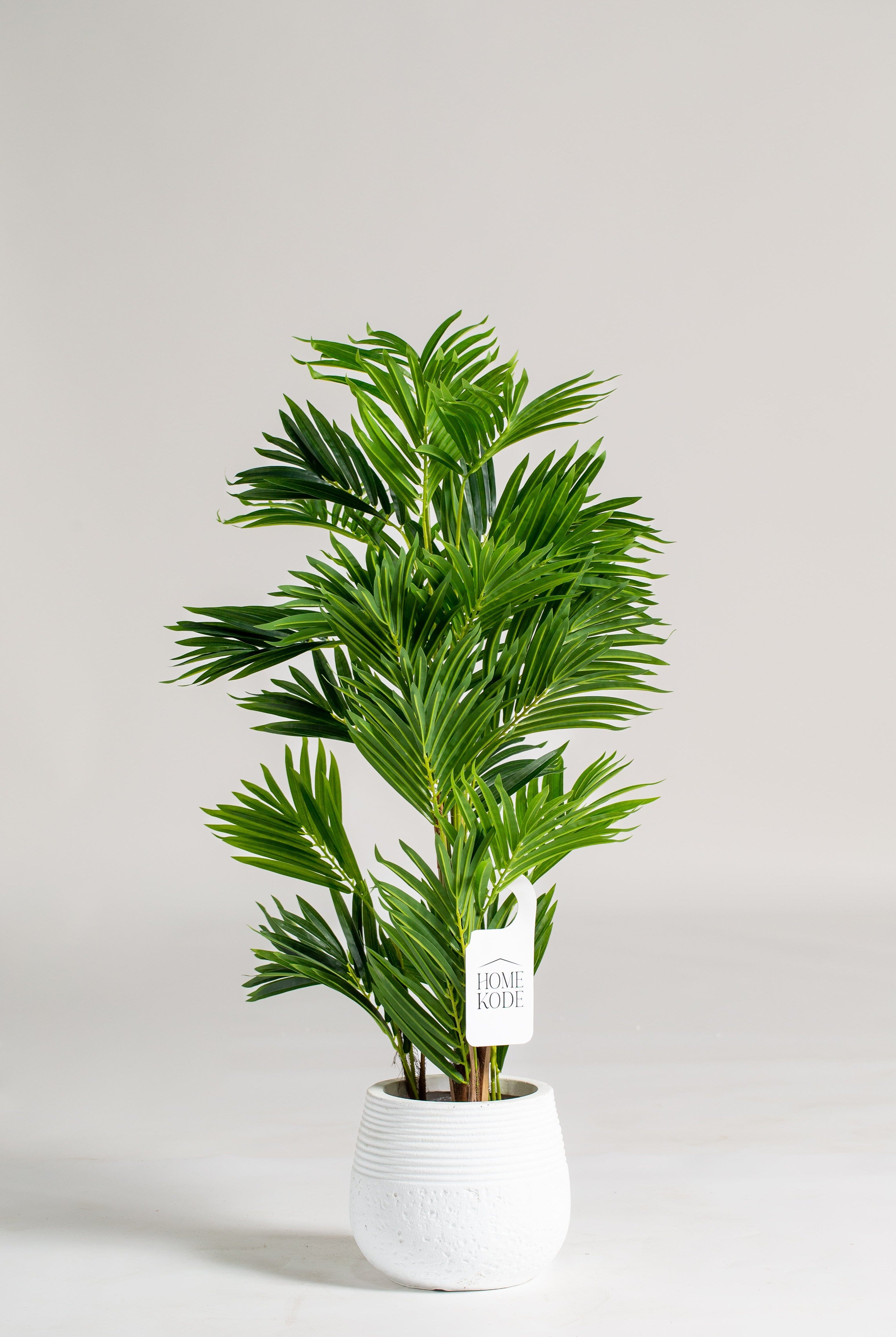 Areca Palmificial Plant (Pot not included) Homekode