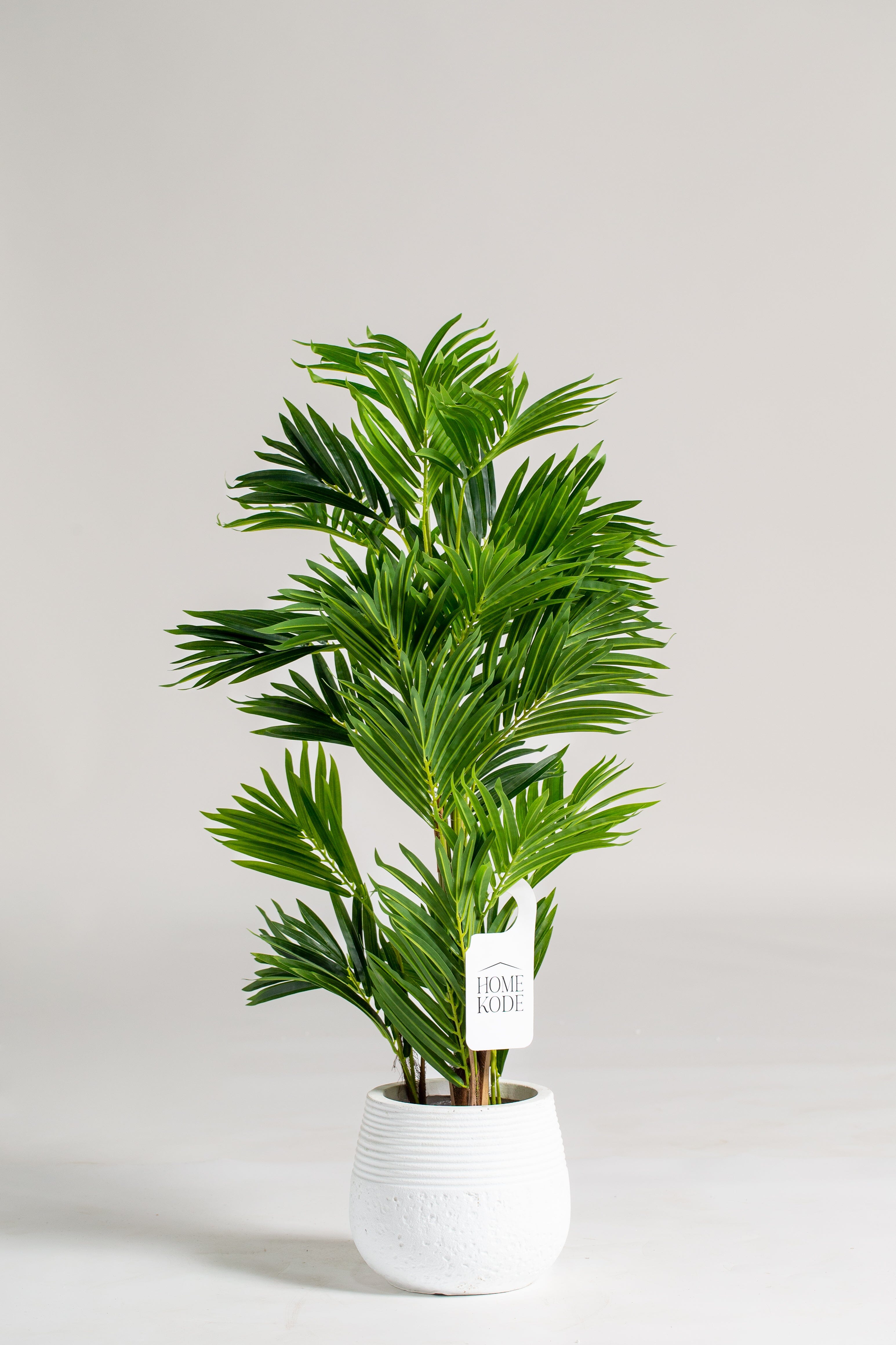 Areca Palmificial Plant (Pot not included) Homekode