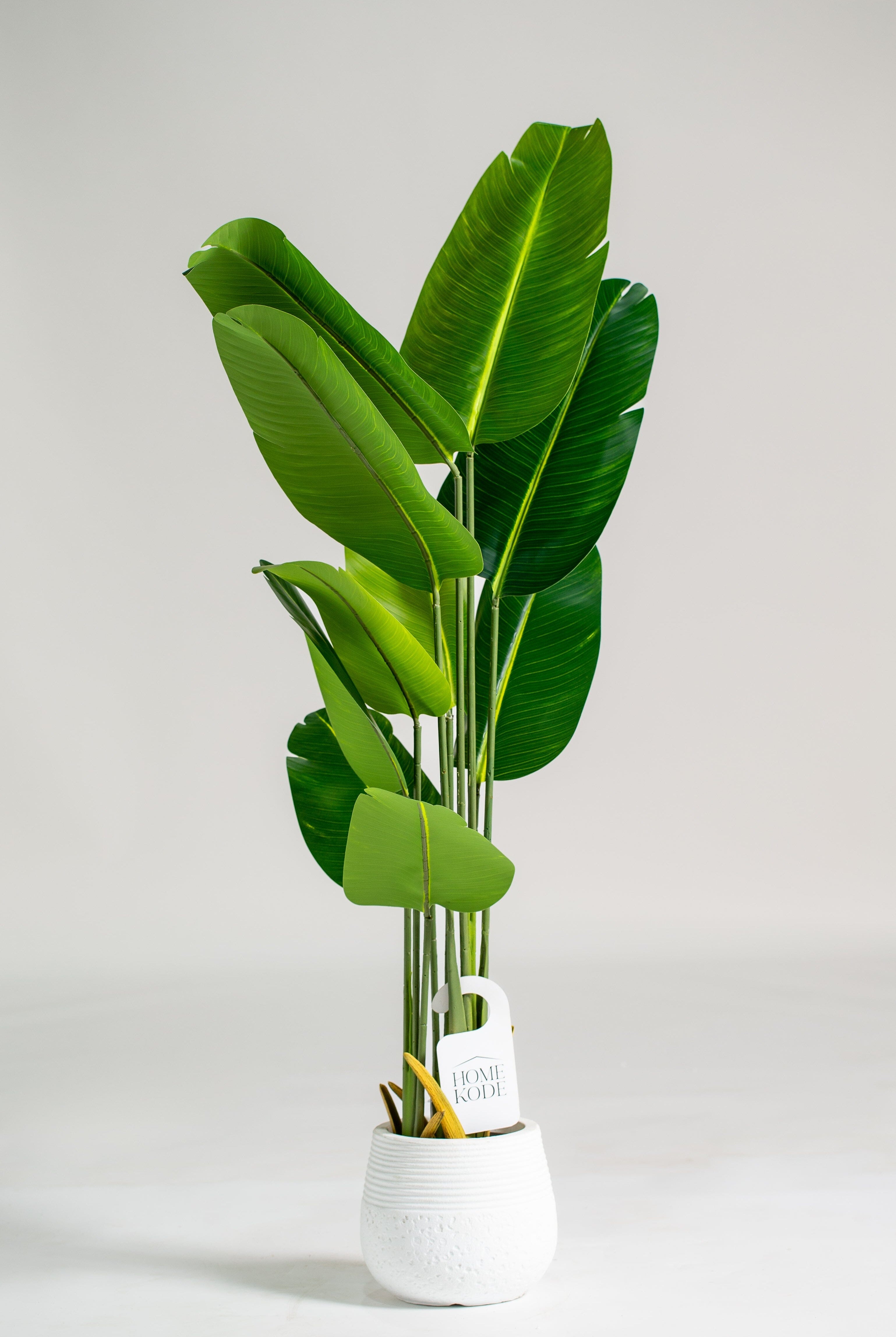 Strelitzia Nicolaiificial Plant (Pot not included) Homekode