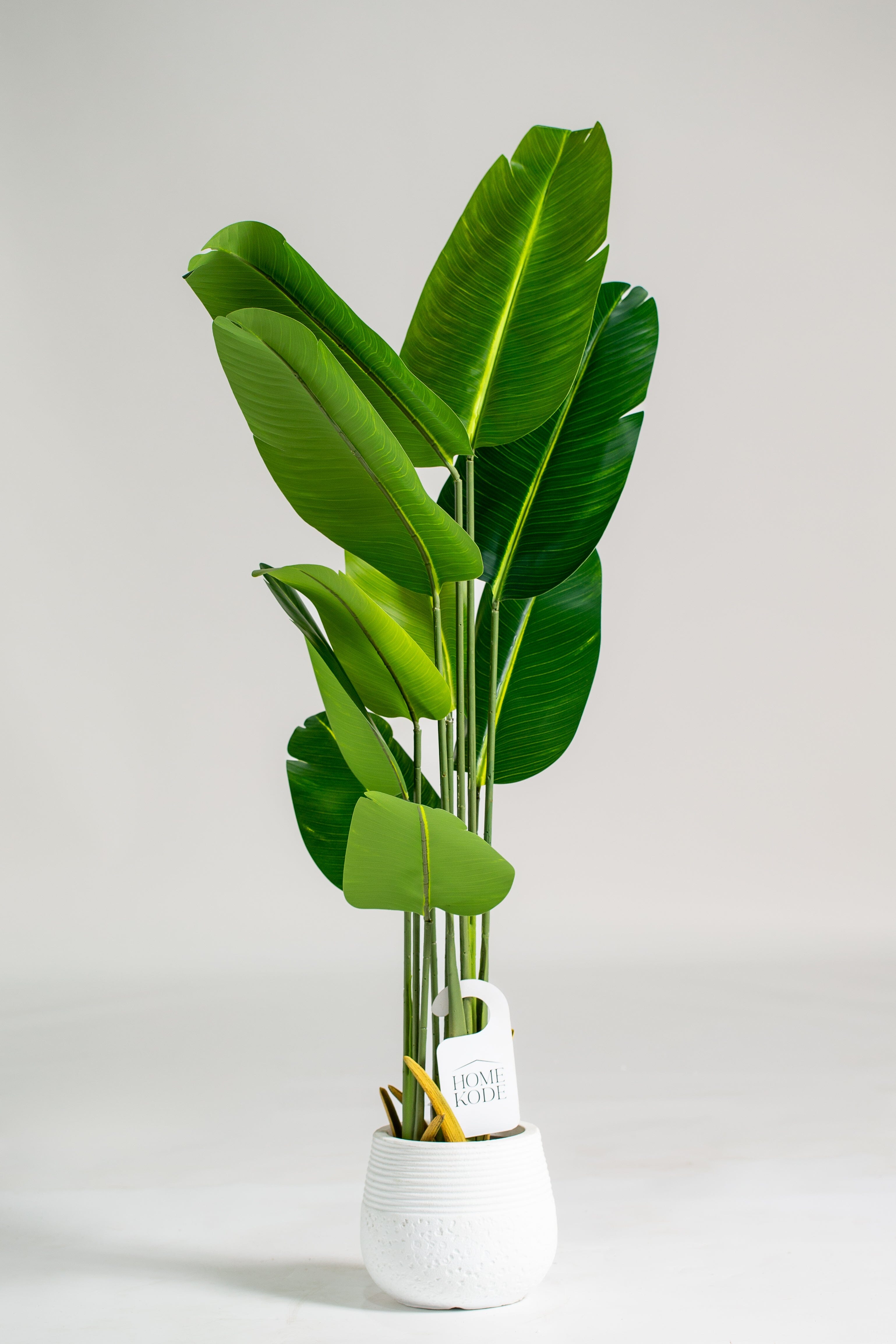 Strelitzia Nicolaiificial Plant (Pot not included) Homekode