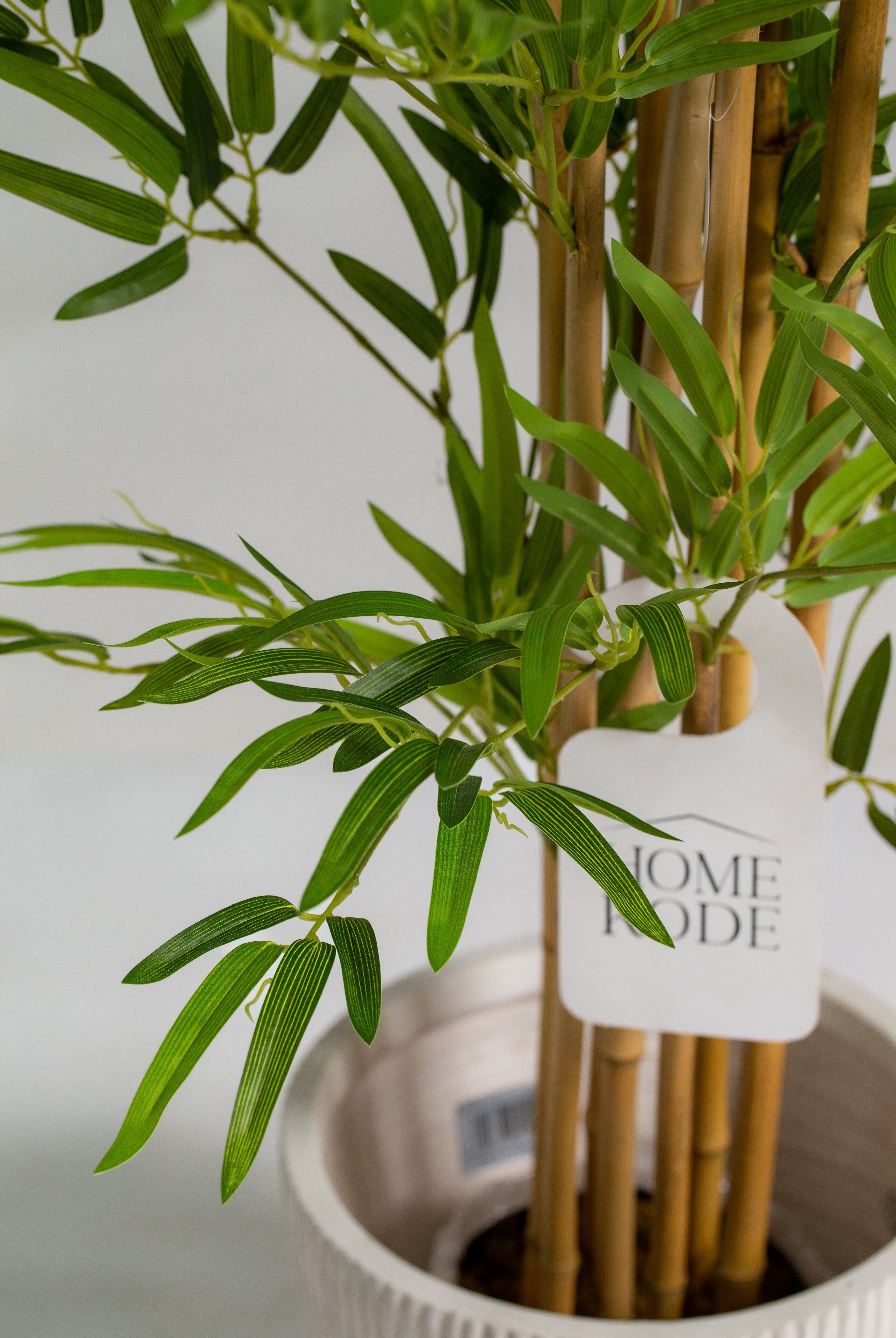 Queensland Bottle Treeificial Plant (Pot not included) Homekode