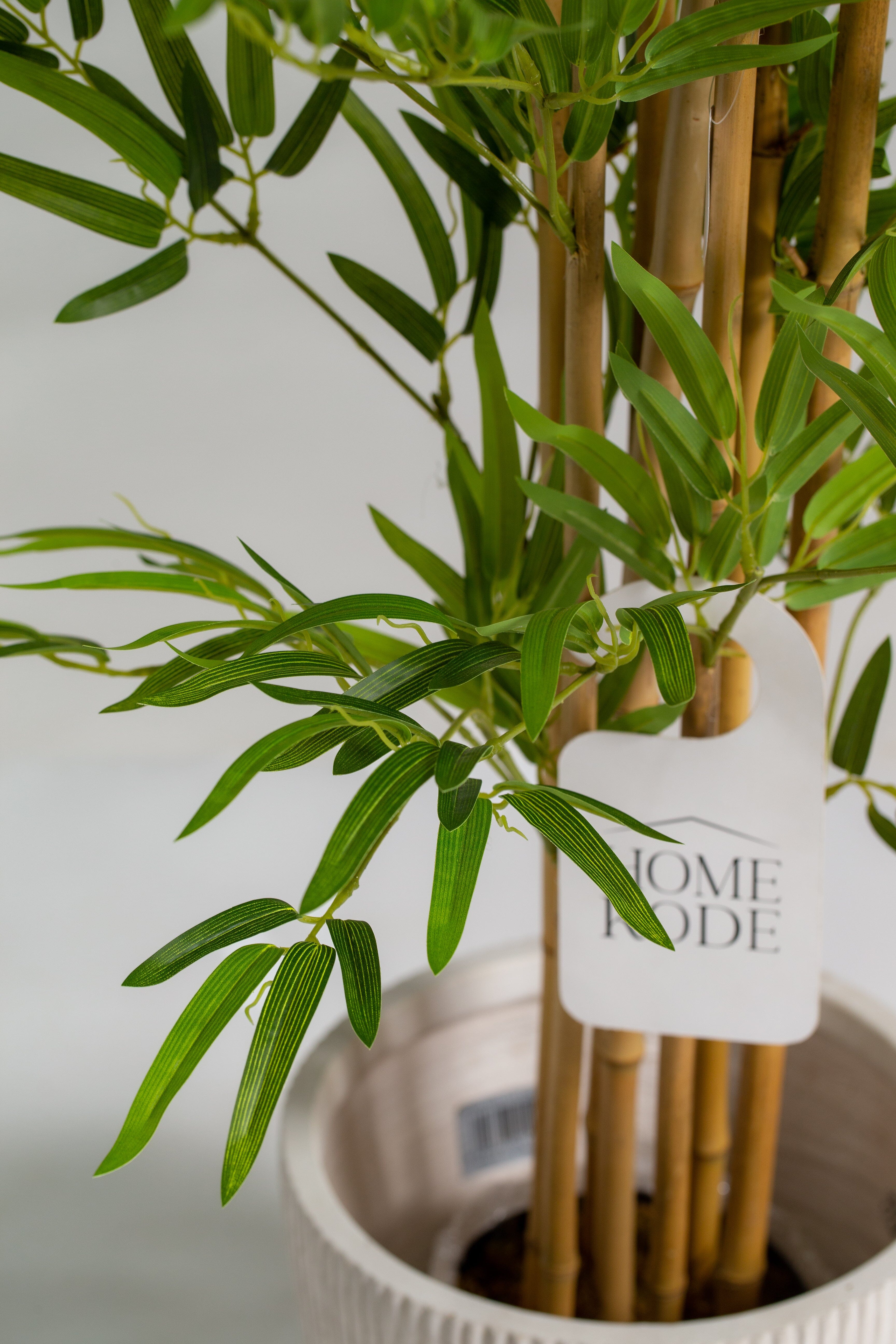 Queensland Bottle Treeificial Plant (Pot not included) Homekode