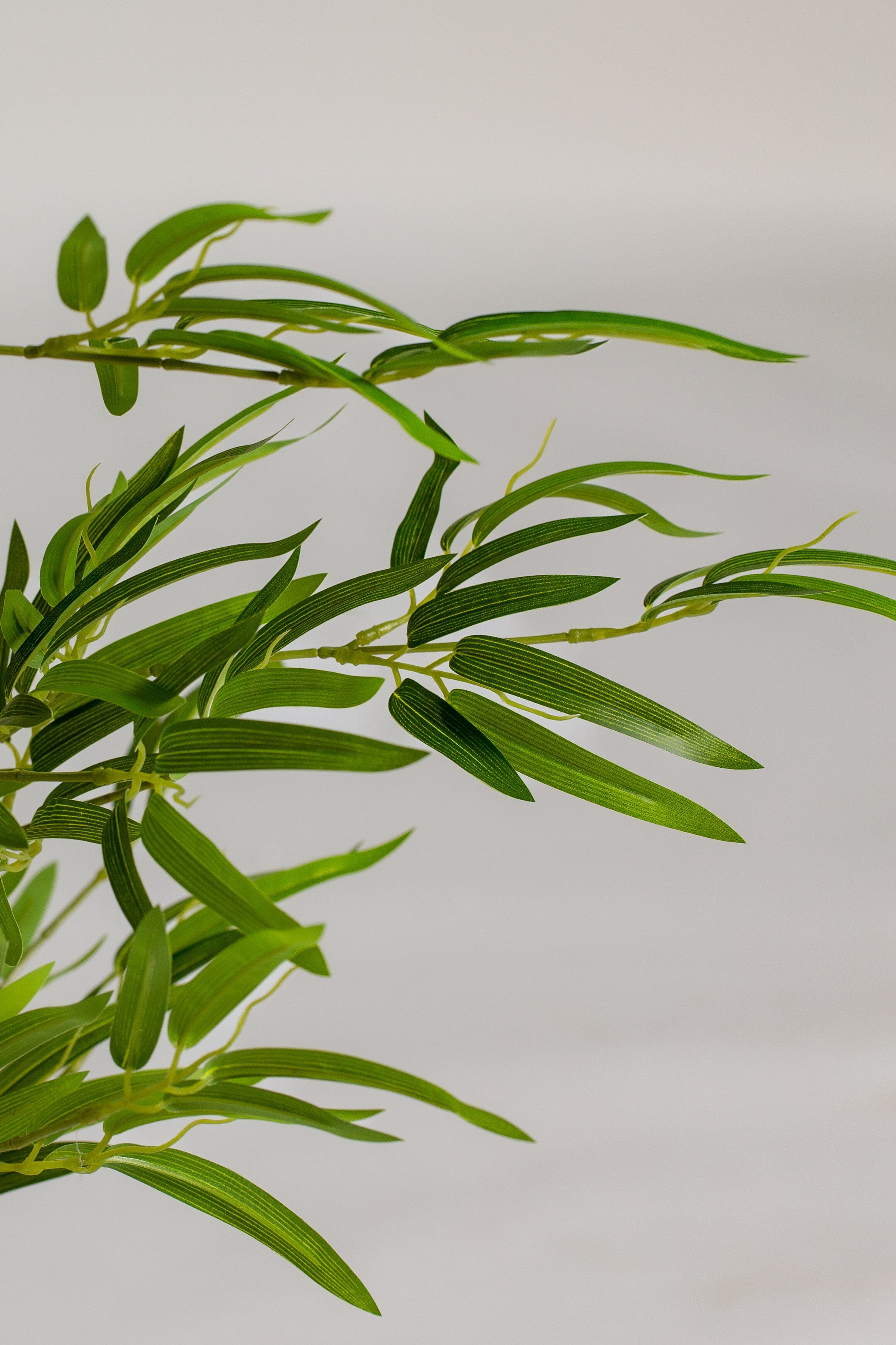 Queensland Bottle Treeificial Plant (Pot not included) Homekode