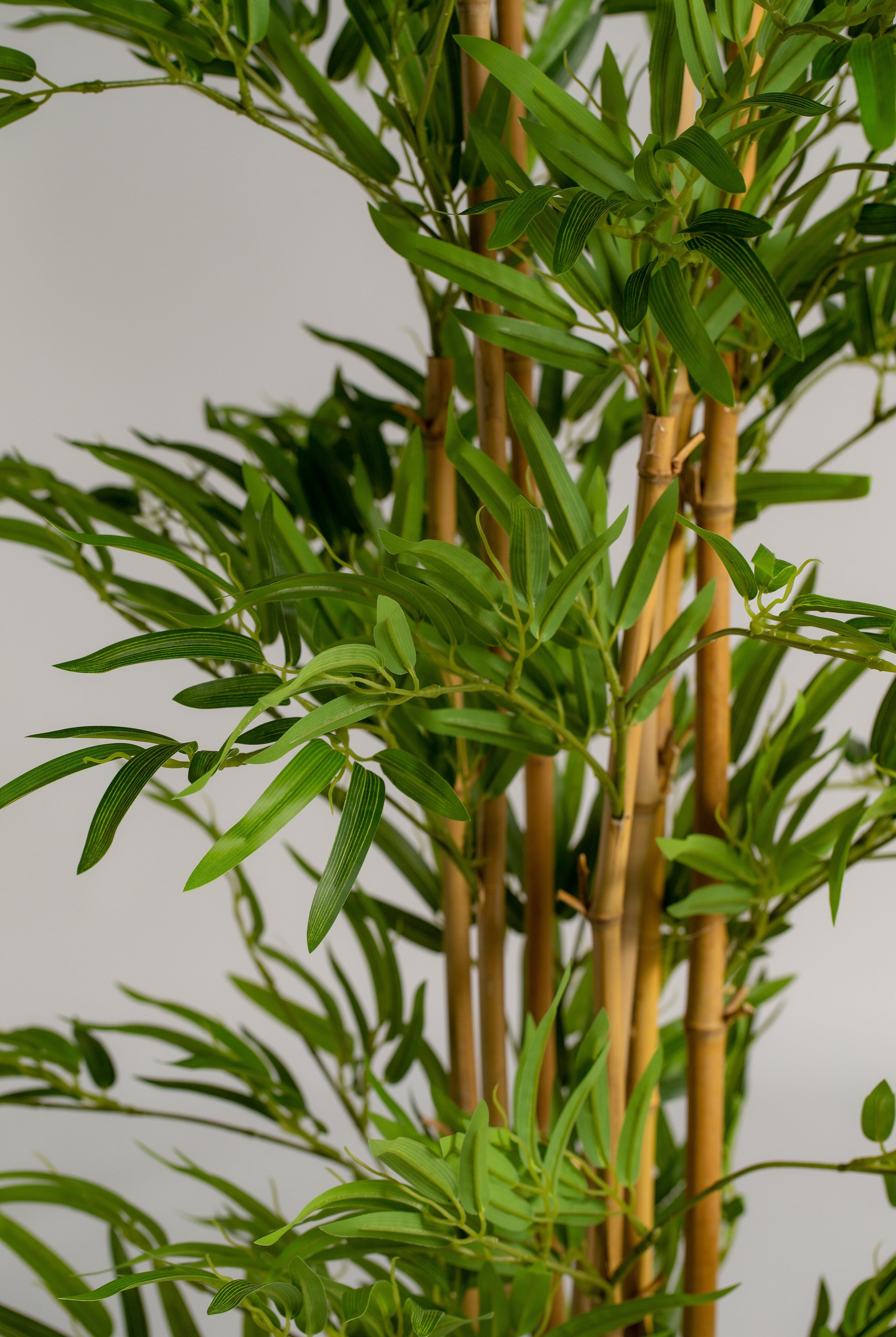 Queensland Bottle Treeificial Plant (Pot not included) Homekode