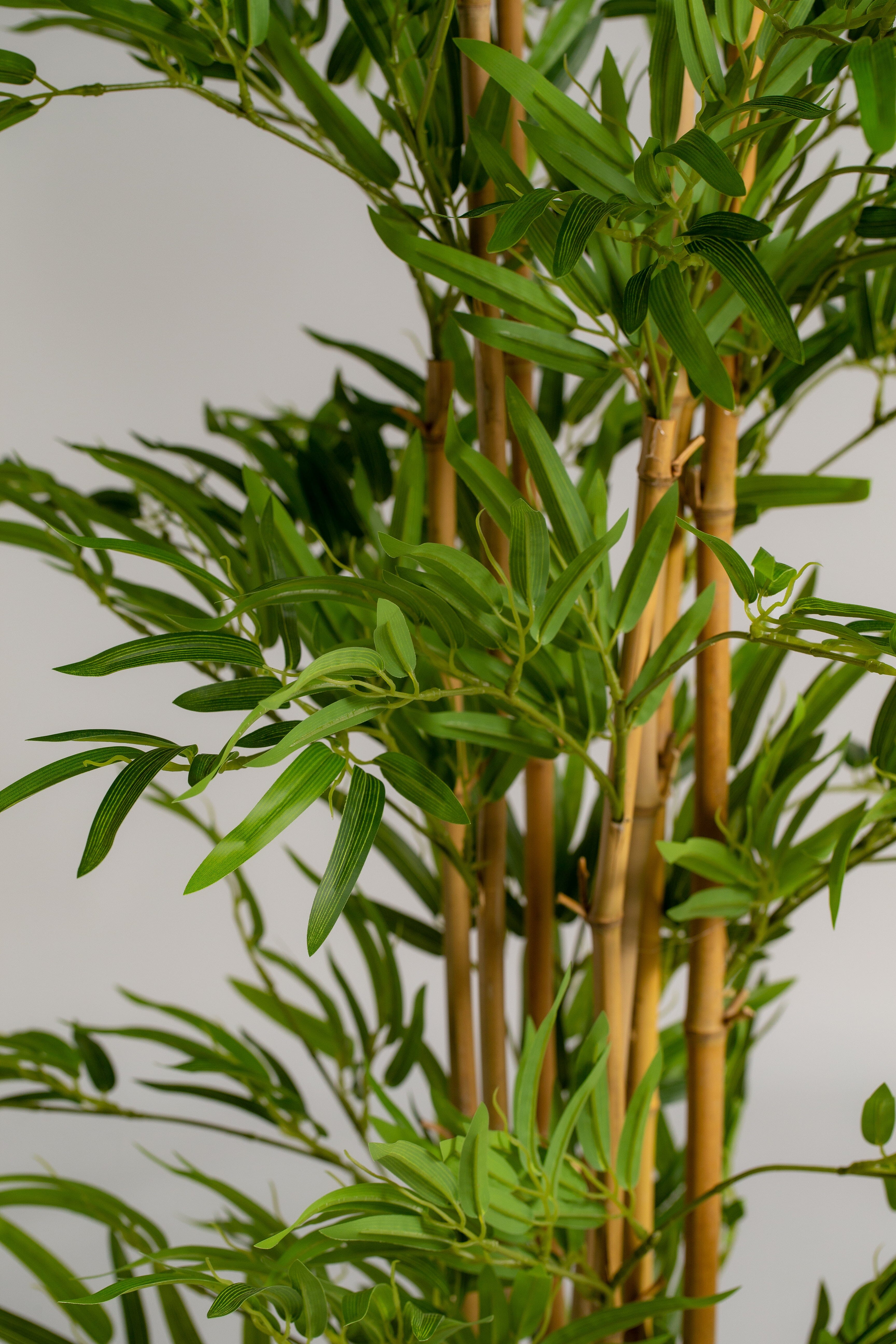 Queensland Bottle Treeificial Plant (Pot not included) Homekode