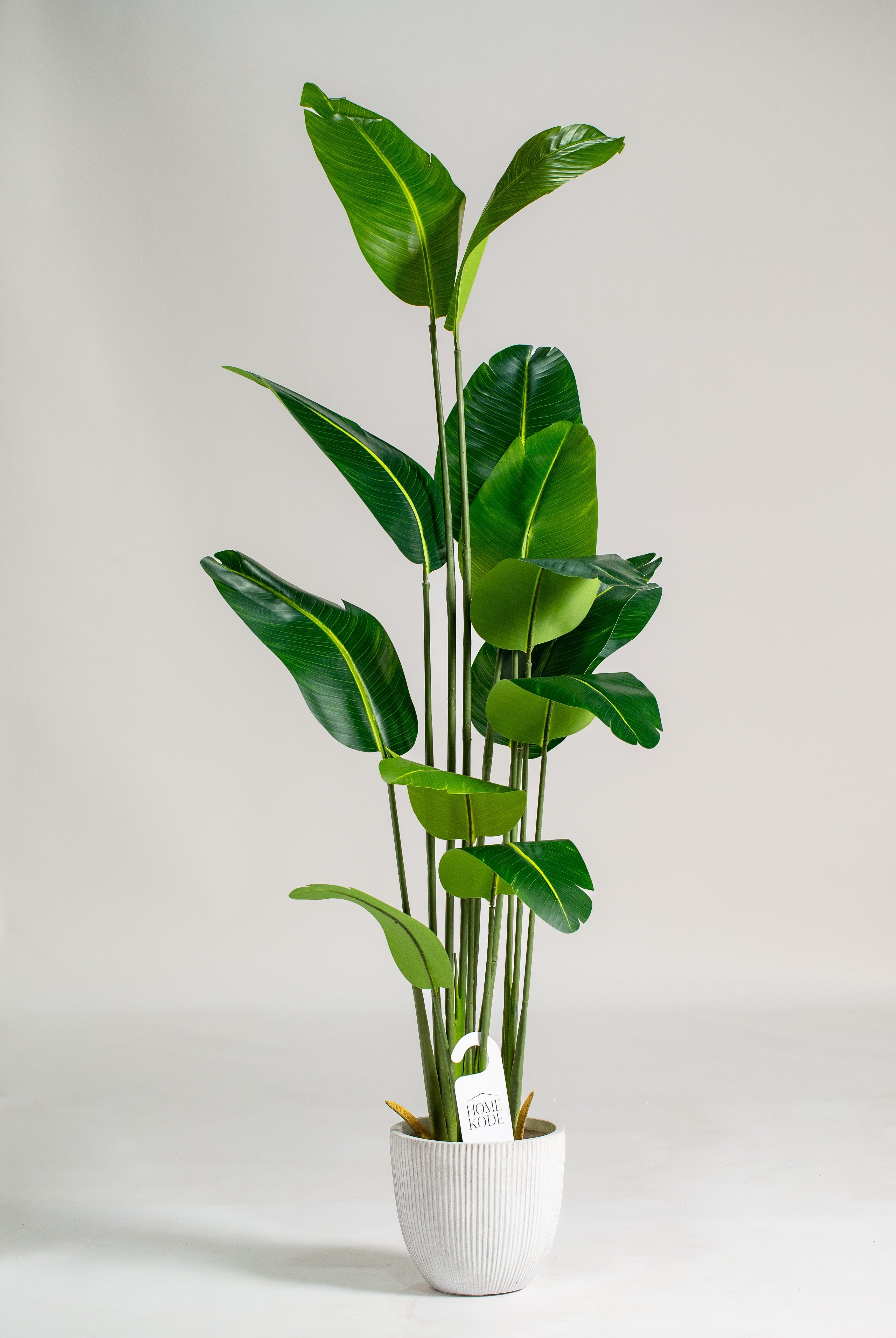 Strelitzia Reginaeificial Plant (Pot not included) Homekode