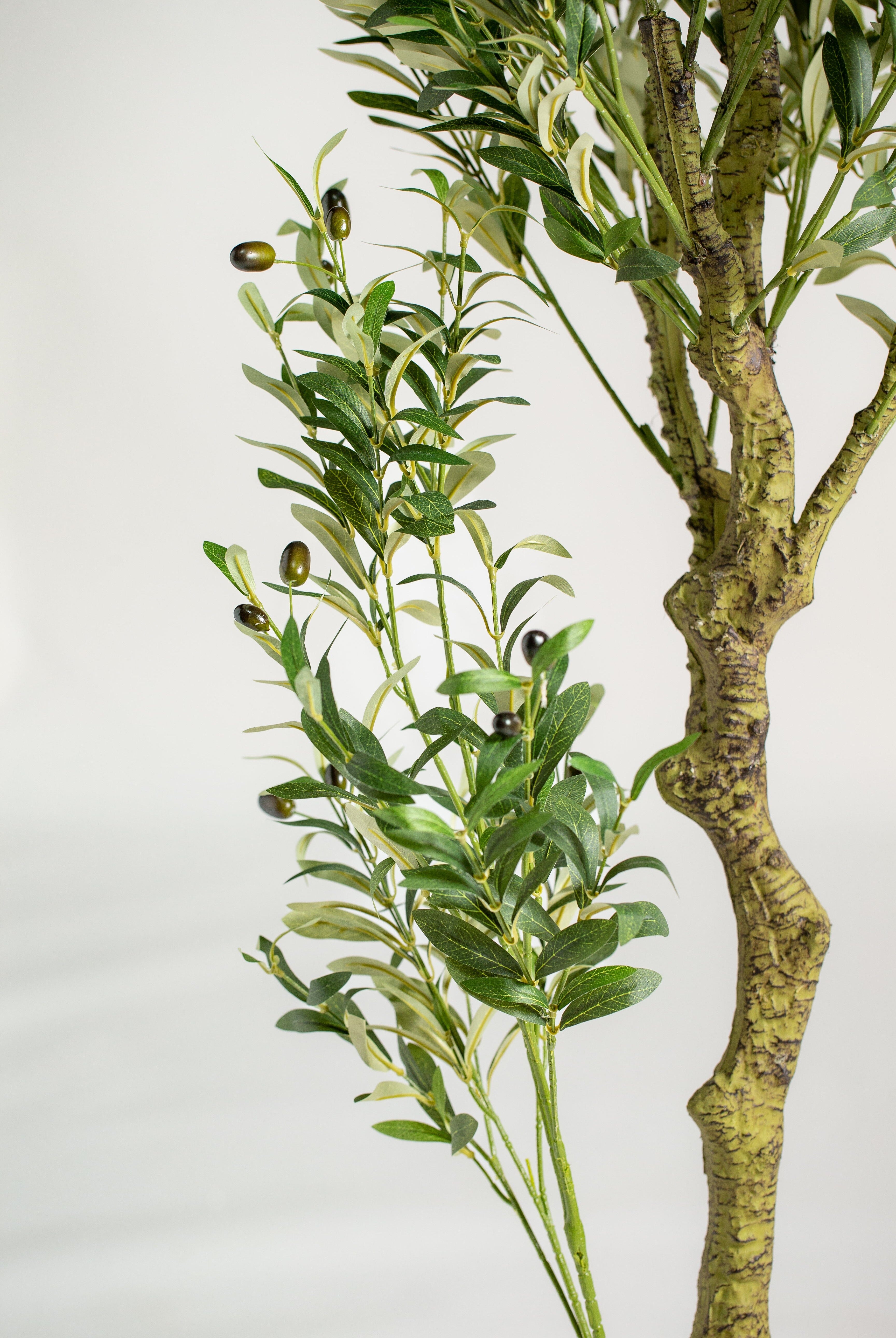 Olive Tree with olivesificial Plant (Pot not included) Homekode