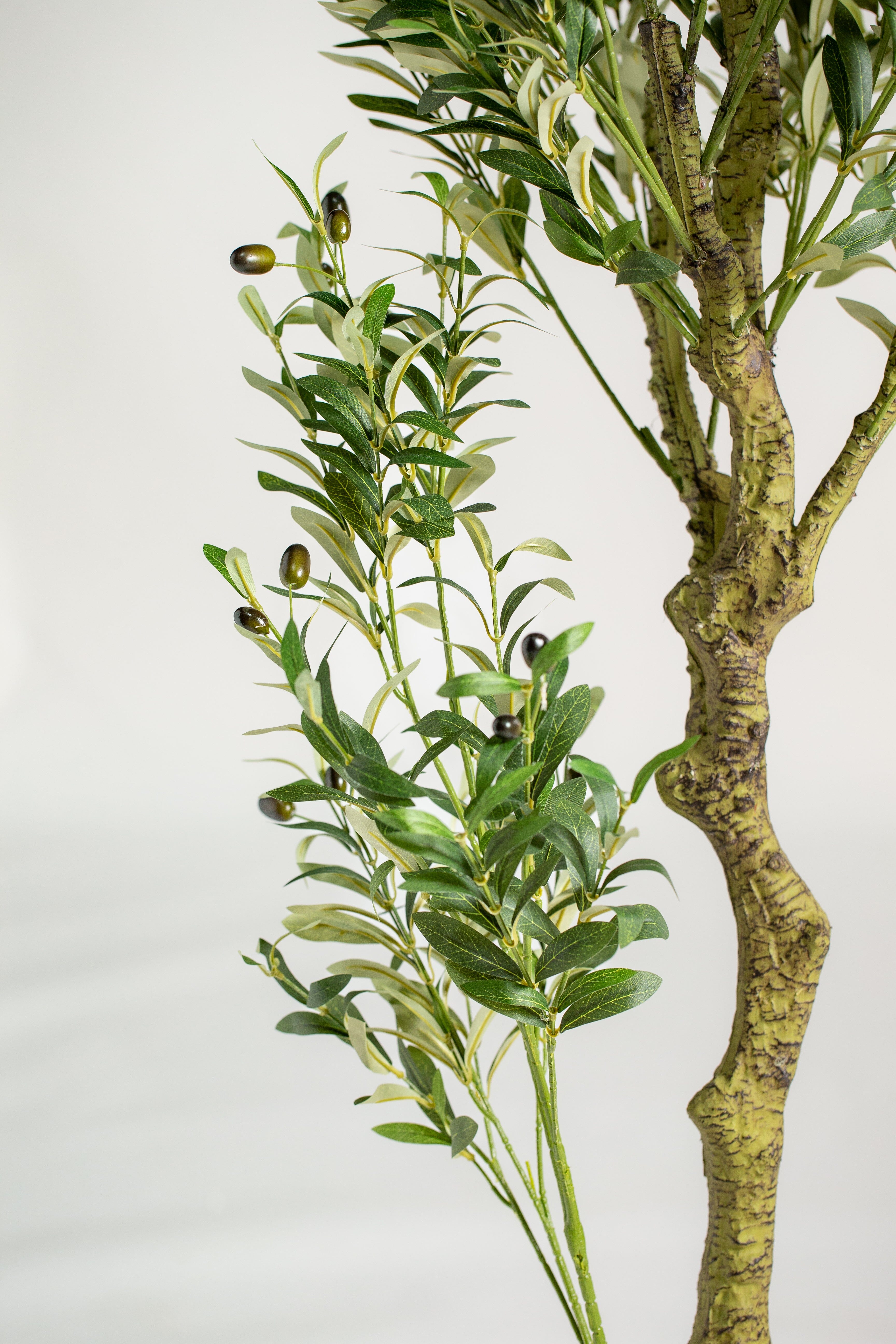 Olive Tree with olivesificial Plant (Pot not included) Homekode