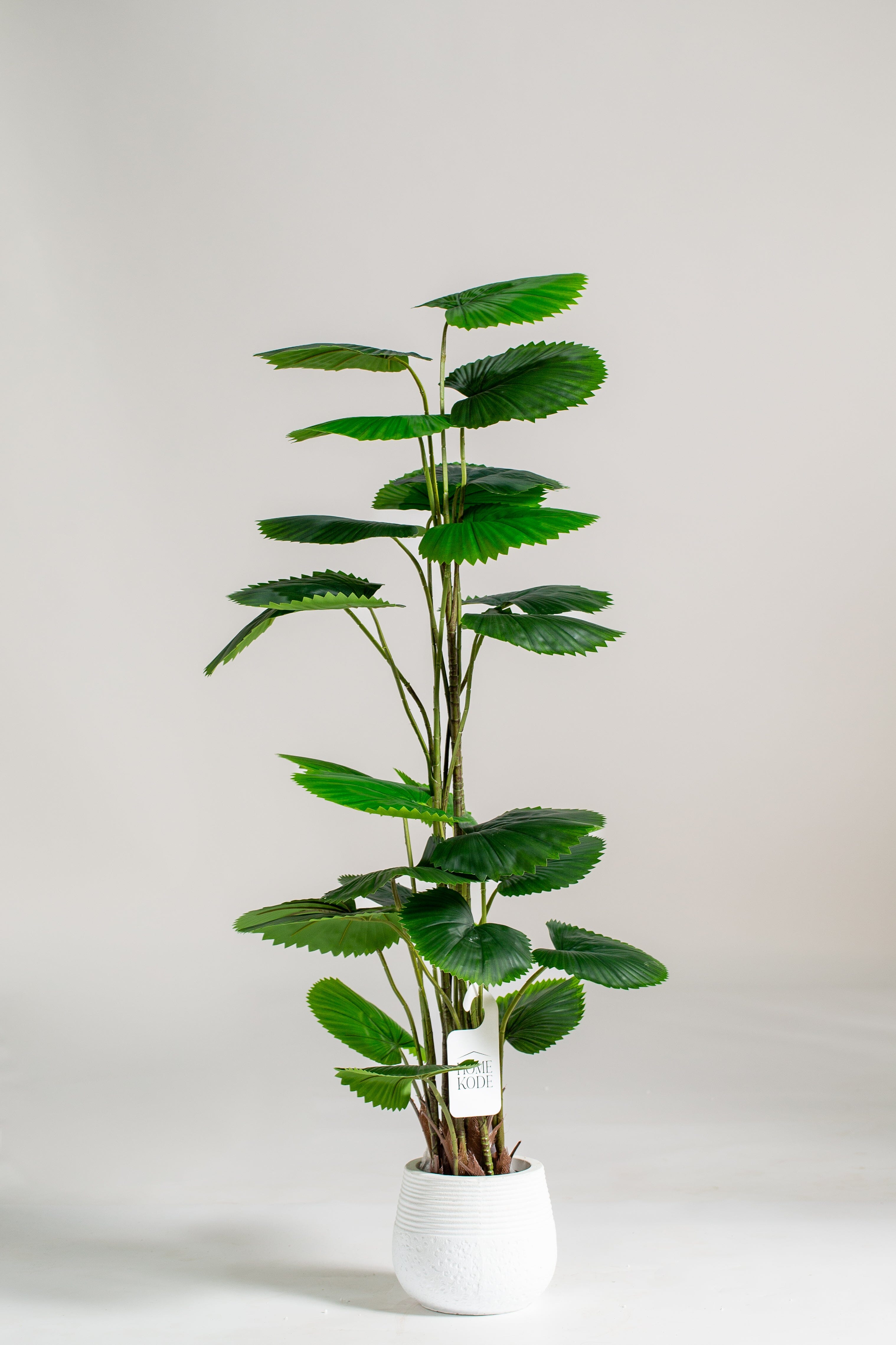 Licuala Orbicularisificial Plant (Pot not included) Homekode