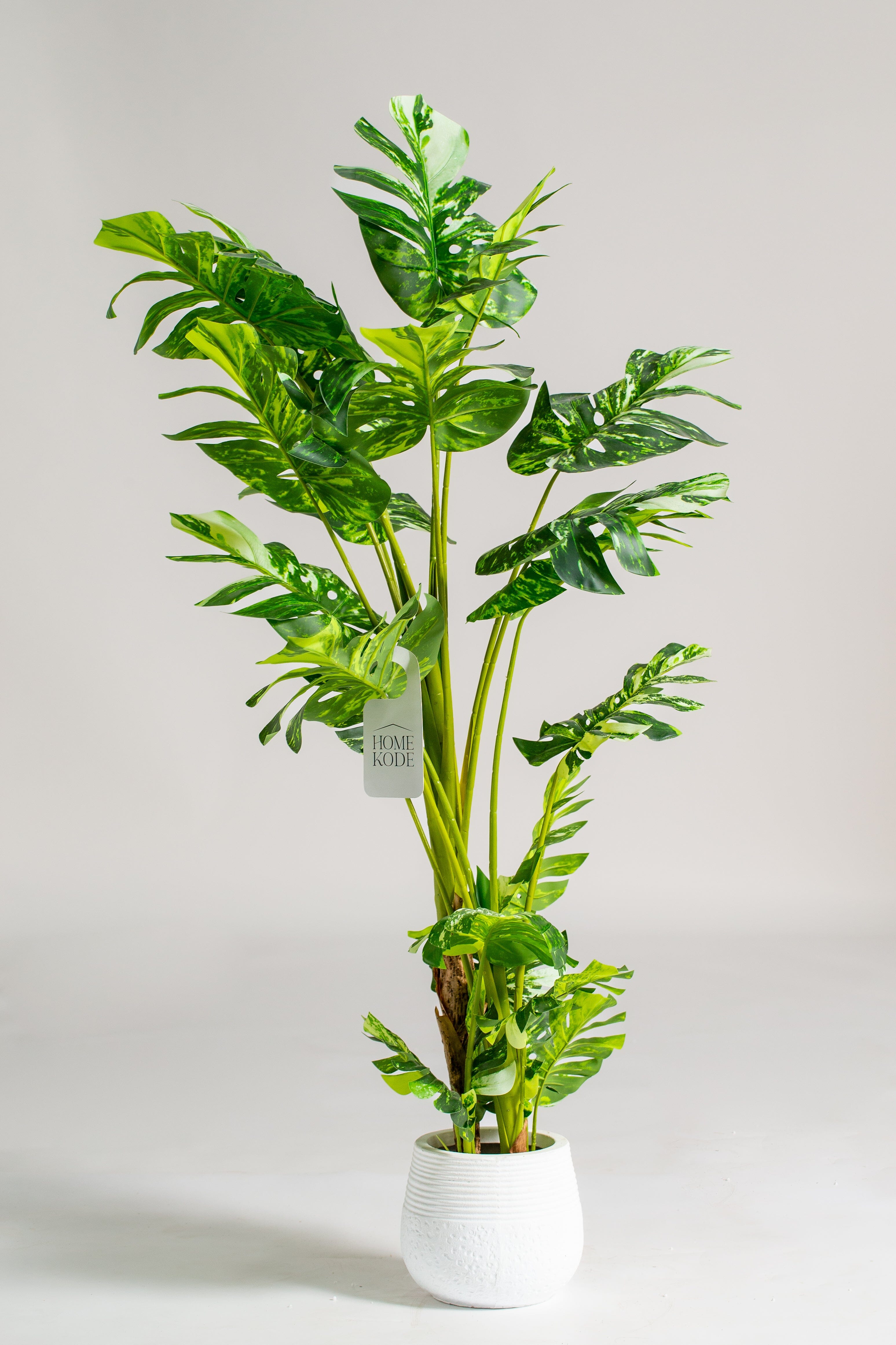 Monstera Adansoniiificial Plant (Pot not included) Homekode