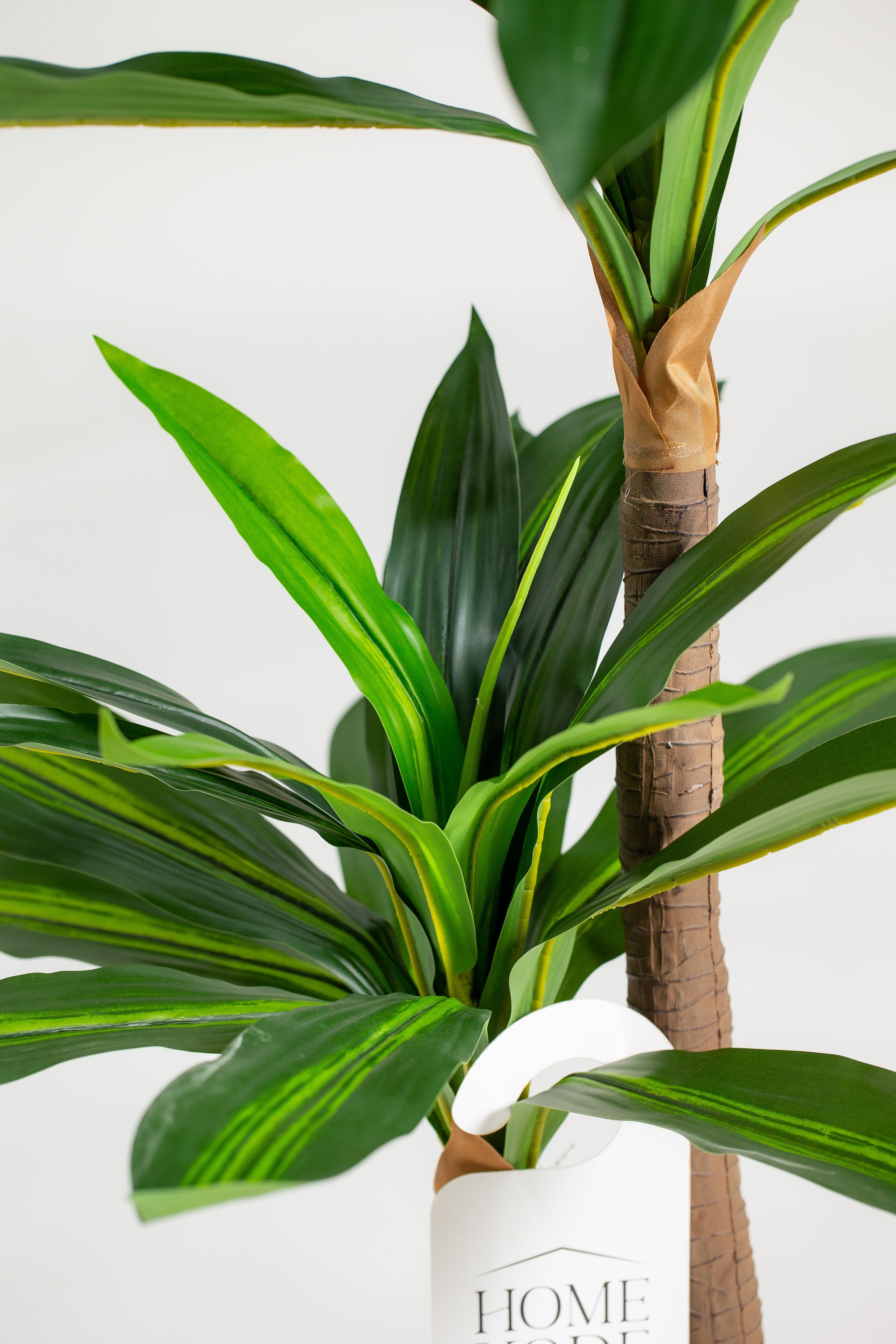 Dracaena Fragransificial Plant (Pot not included) Homekode