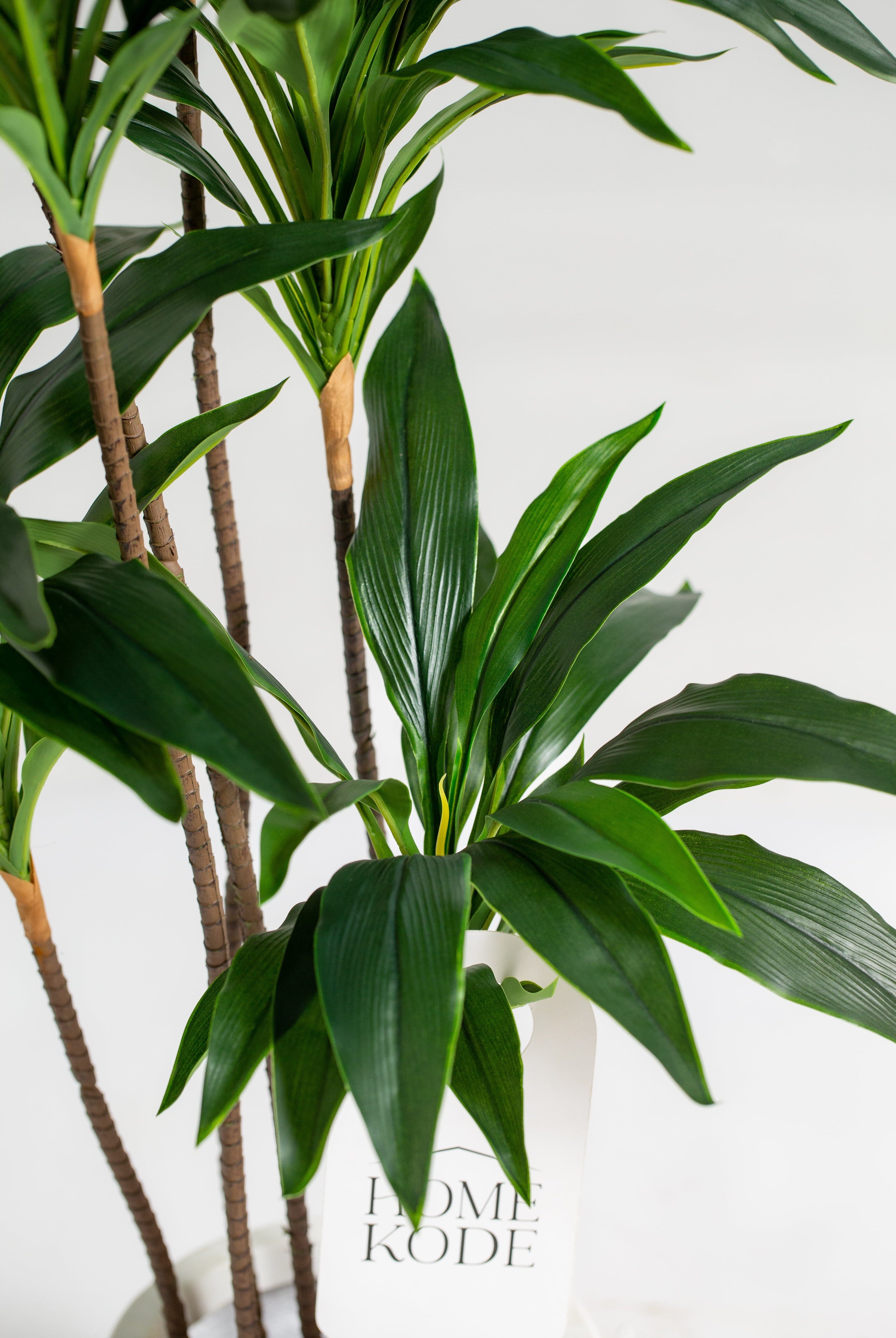 Dracena Marginataificial Plant (Pot not included) Homekode