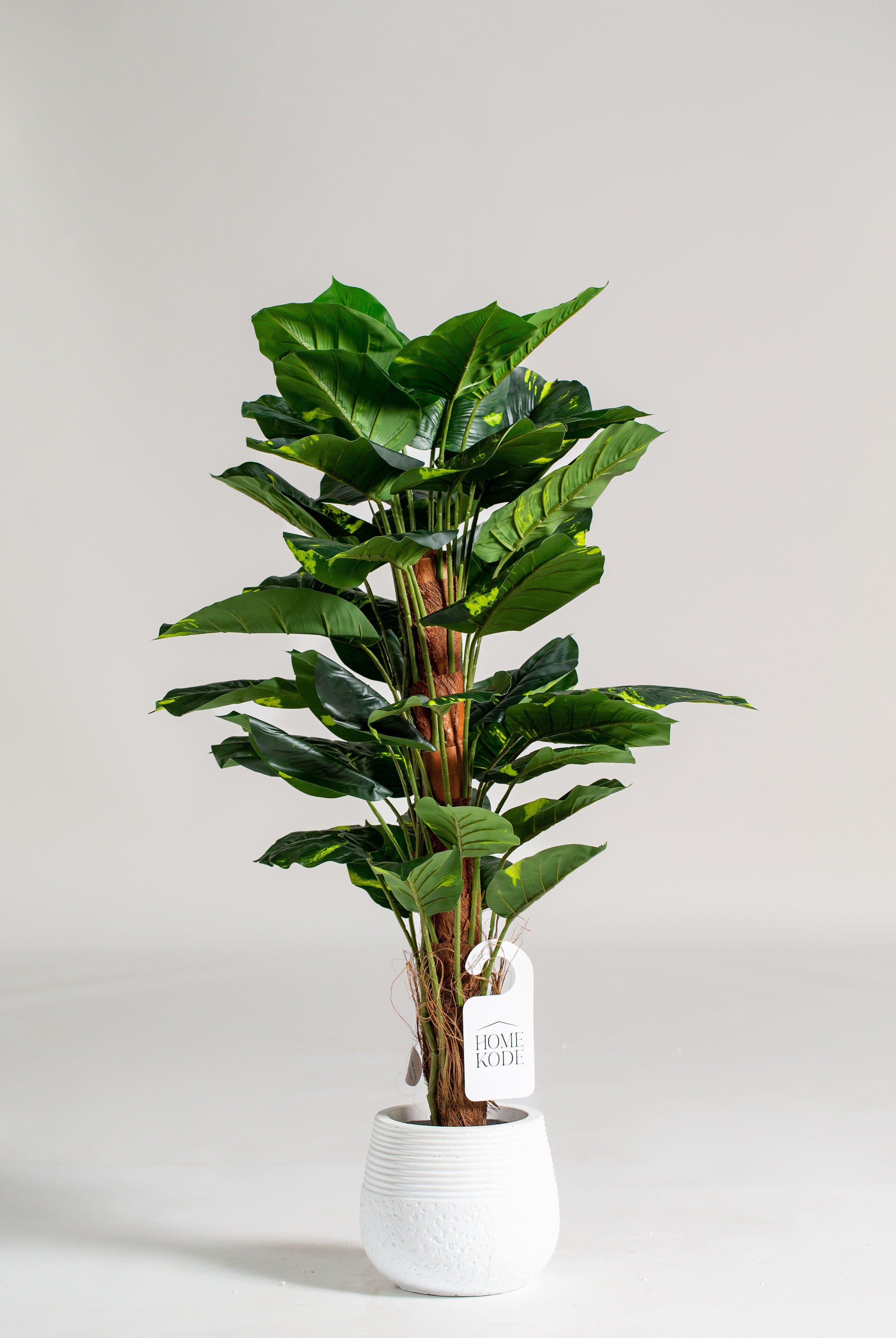 Golden Pothosificial Plant (Pot not included) Homekode