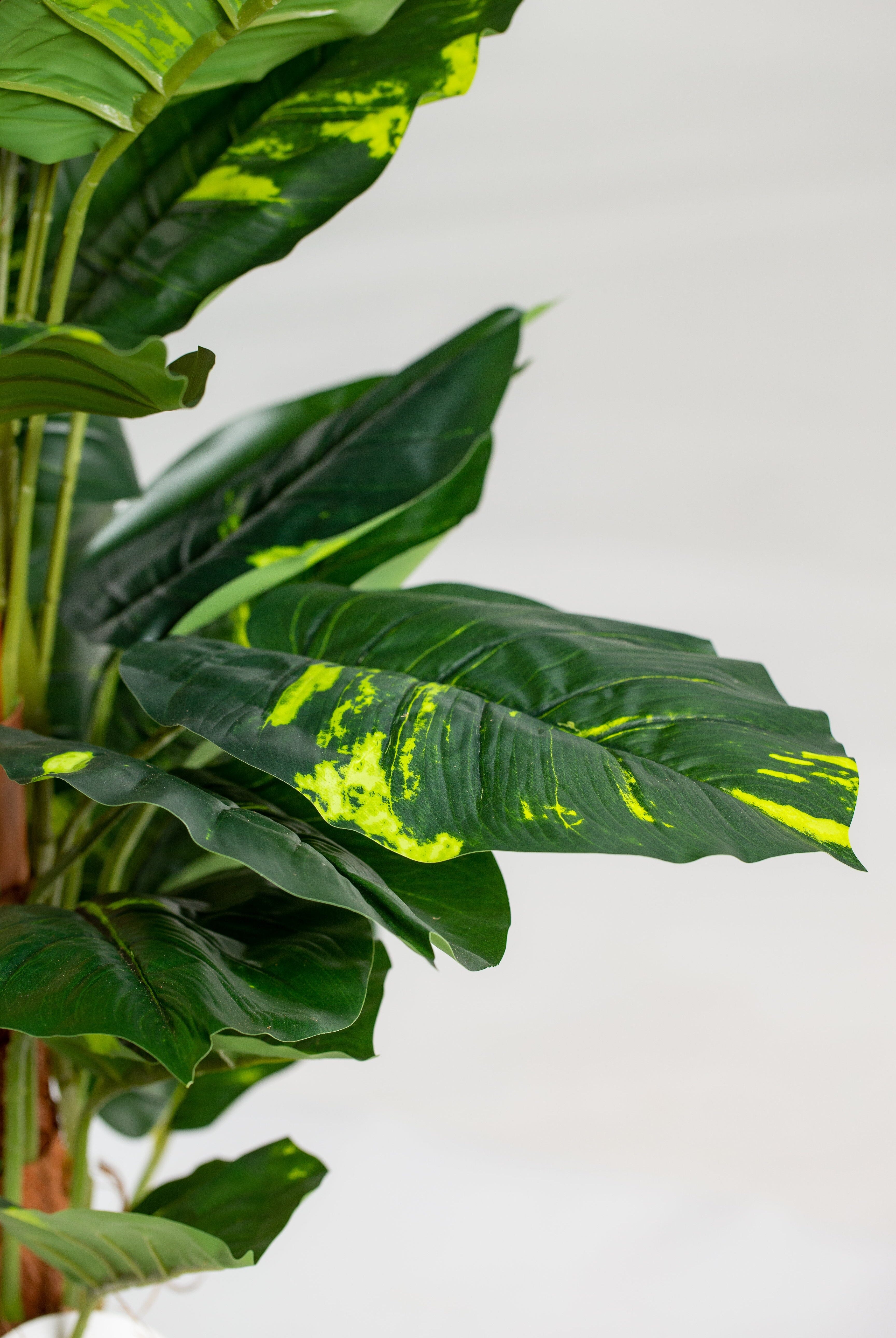 Golden Pothosificial Plant (Pot not included) Homekode