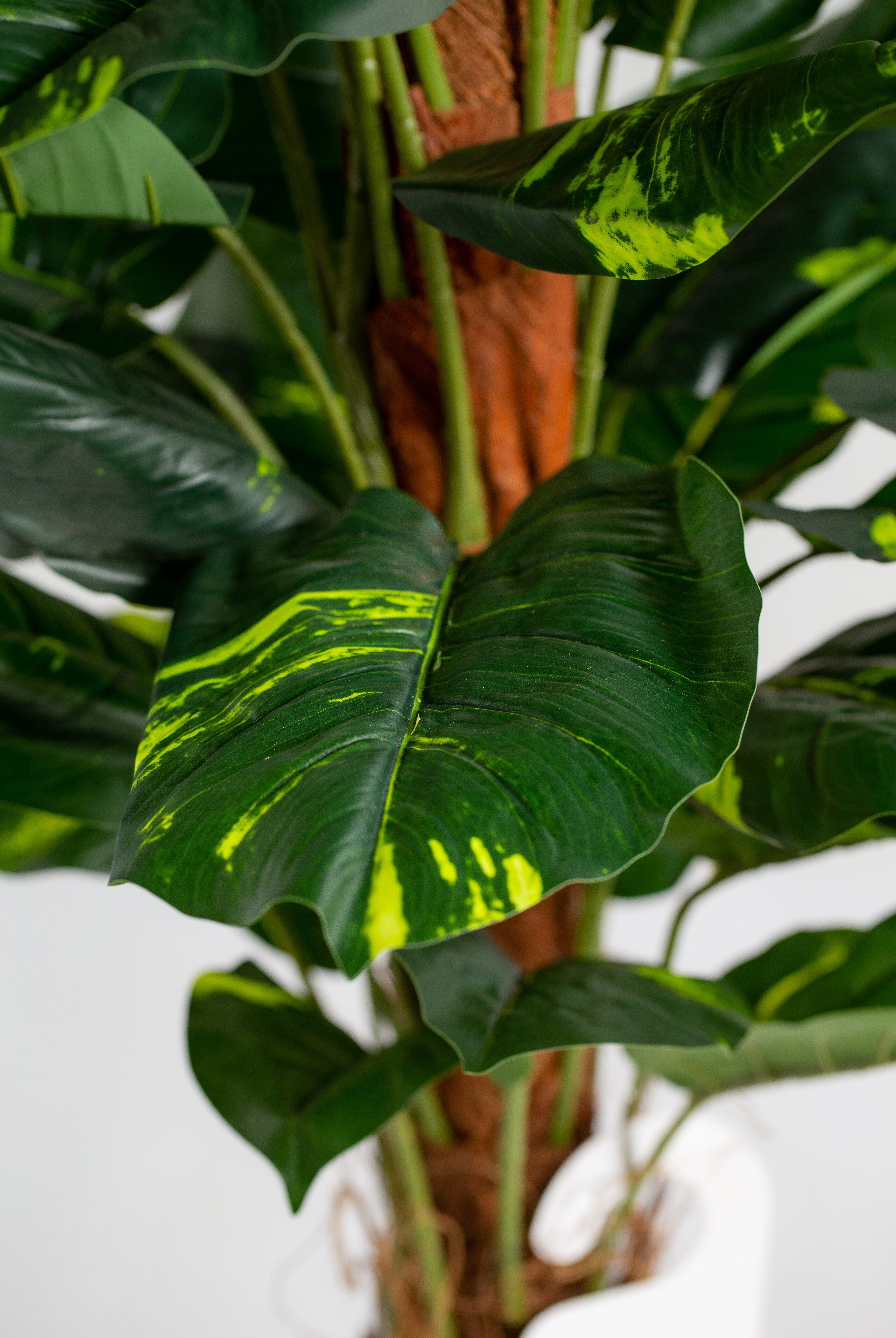 Golden Pothosificial Plant (Pot not included) Homekode