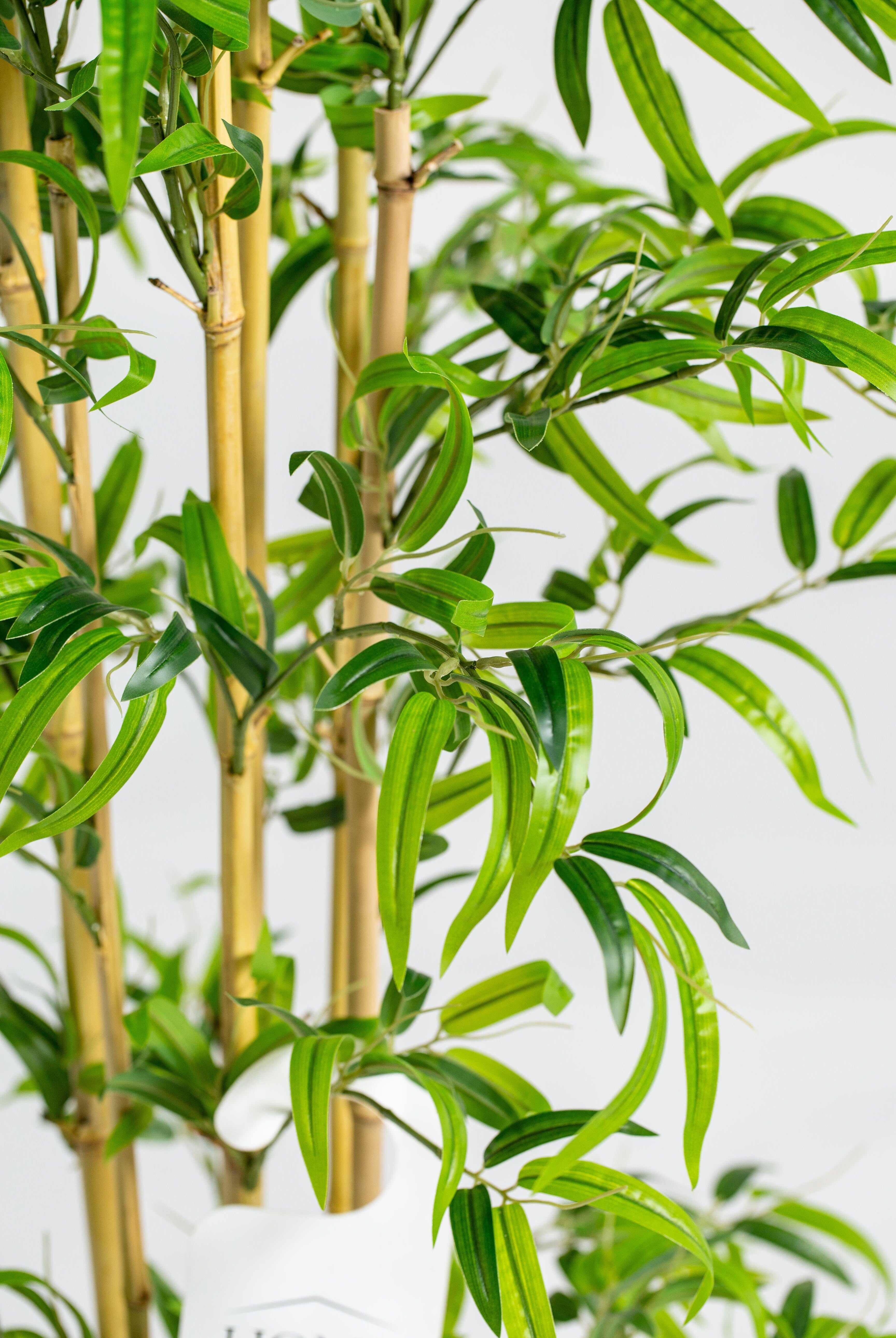 Bamboo Treeificial Plant (Pot not included) Homekode