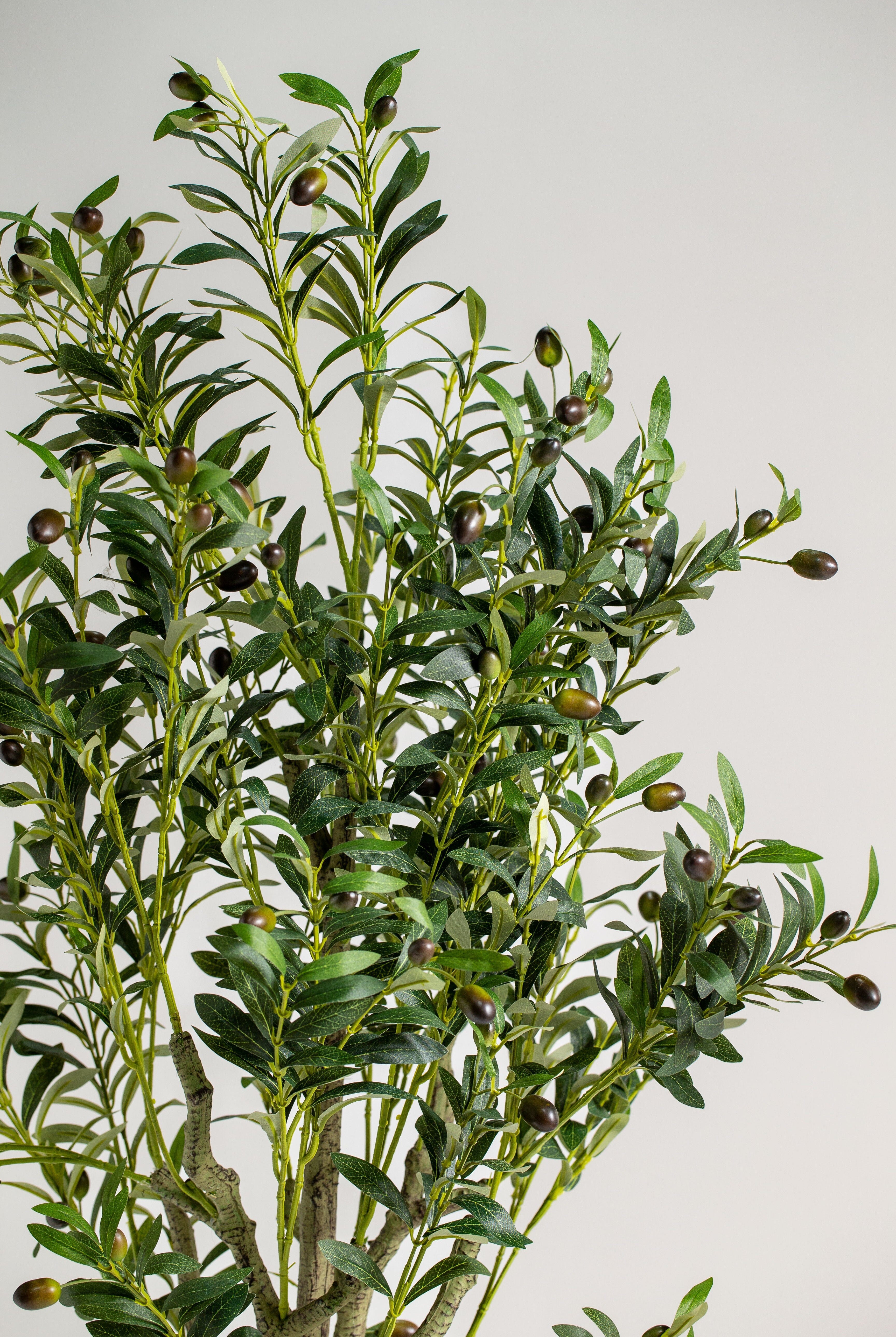 Olive Tree with olives 2ificial Plant (Pot not included) Homekode
