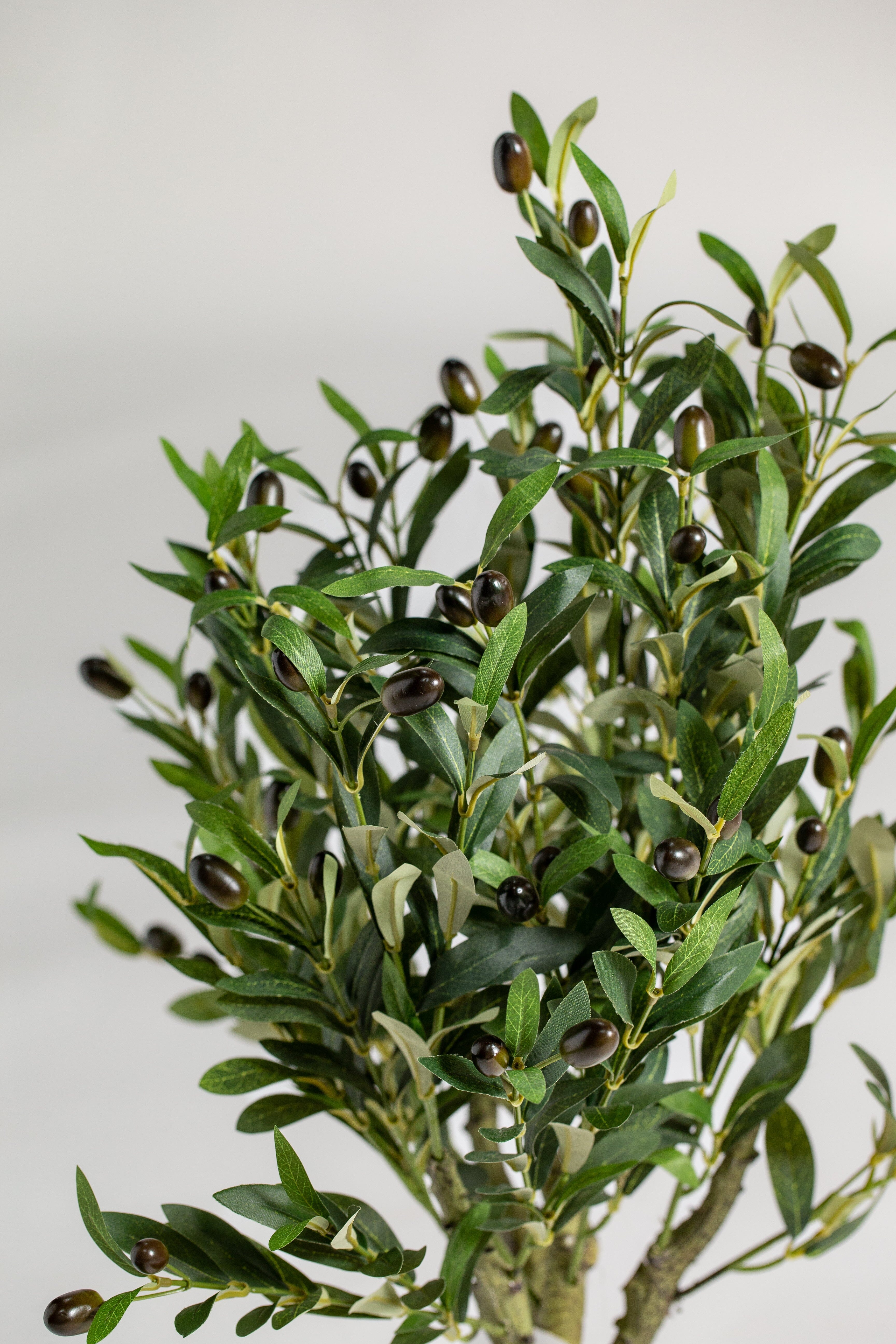 Mini Olive treeificial Plant (Pot not included) Homekode