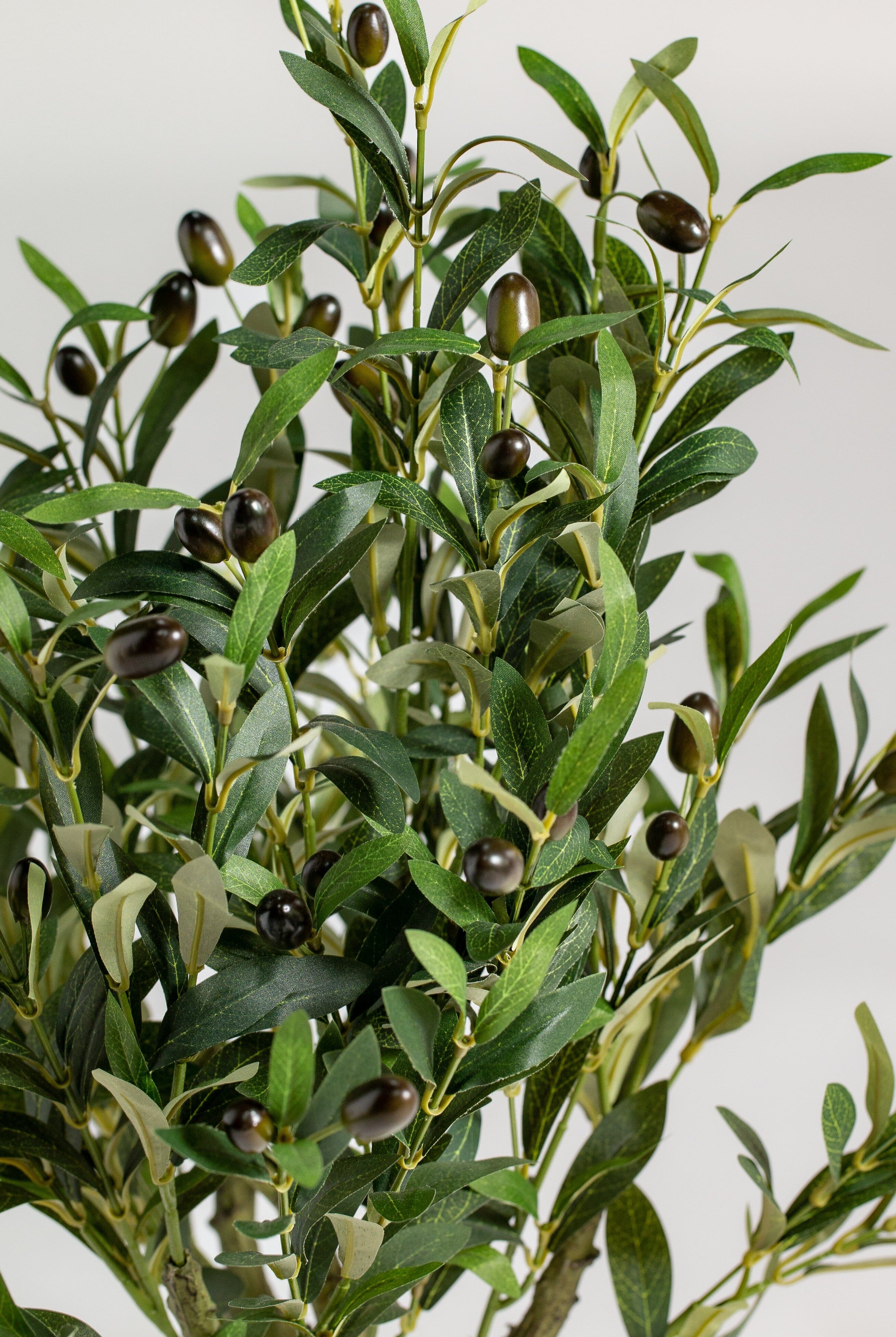 Mini Olive treeificial Plant (Pot not included) Homekode