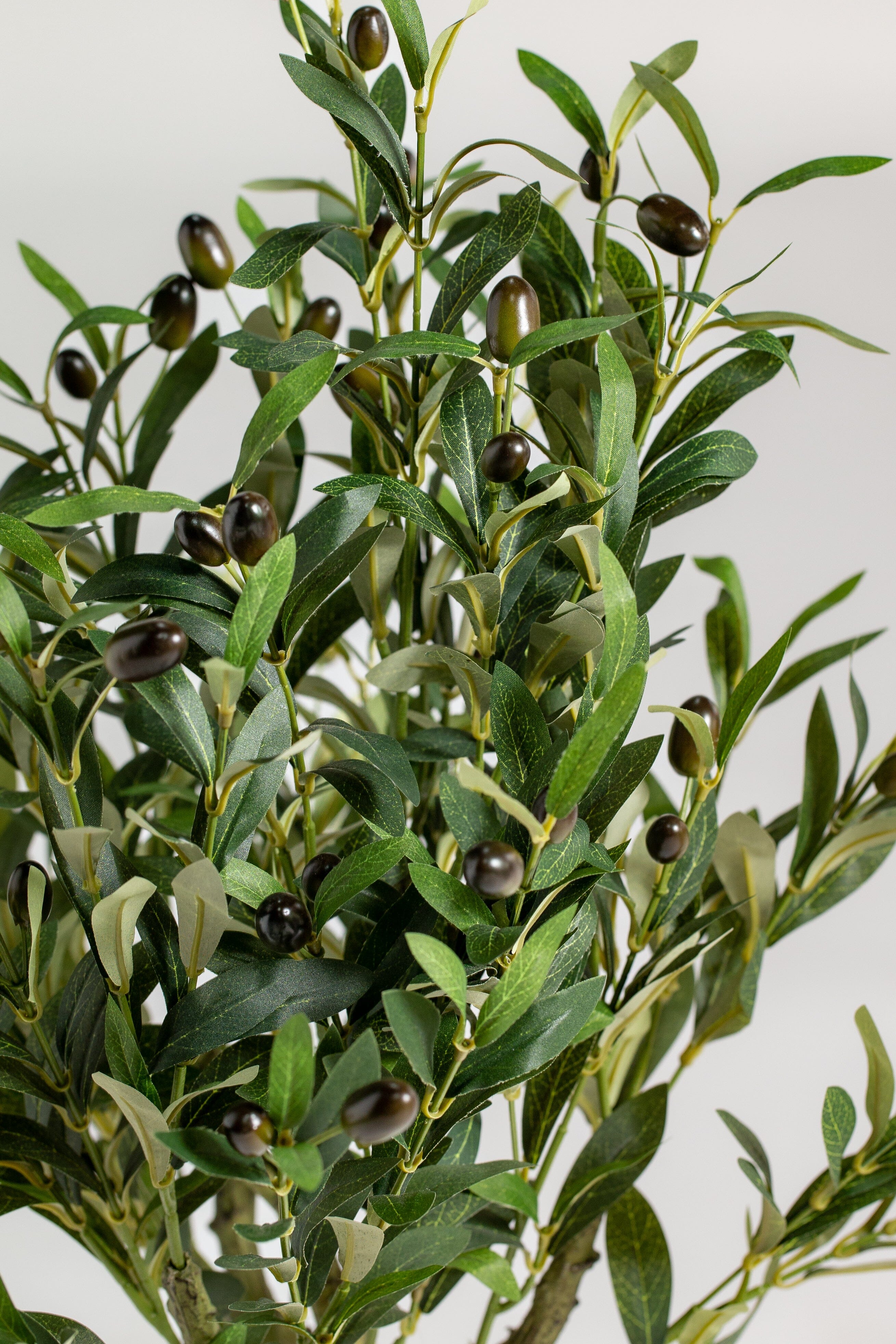 Mini Olive treeificial Plant (Pot not included) Homekode